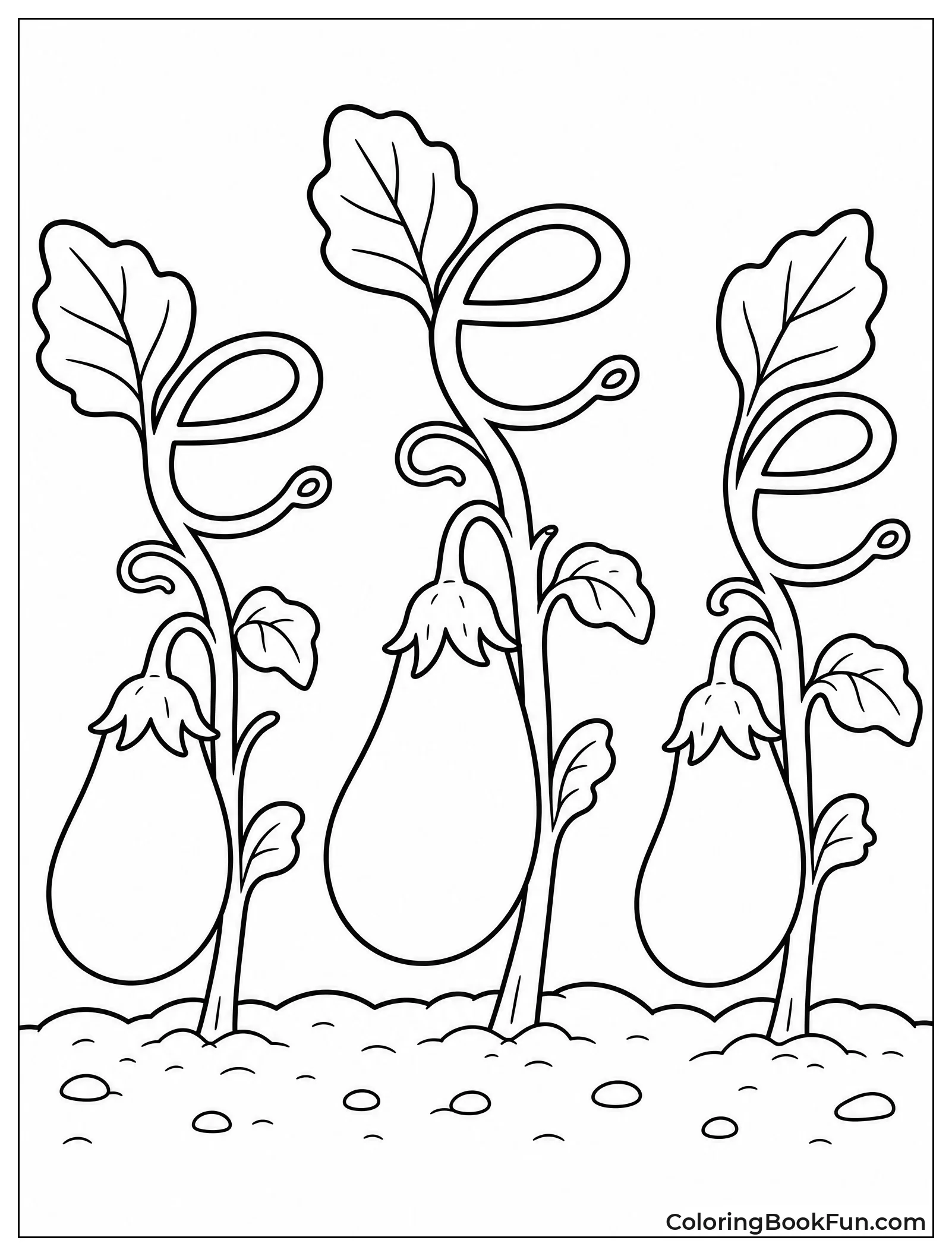 Eggplants Growing on Curvy Vines