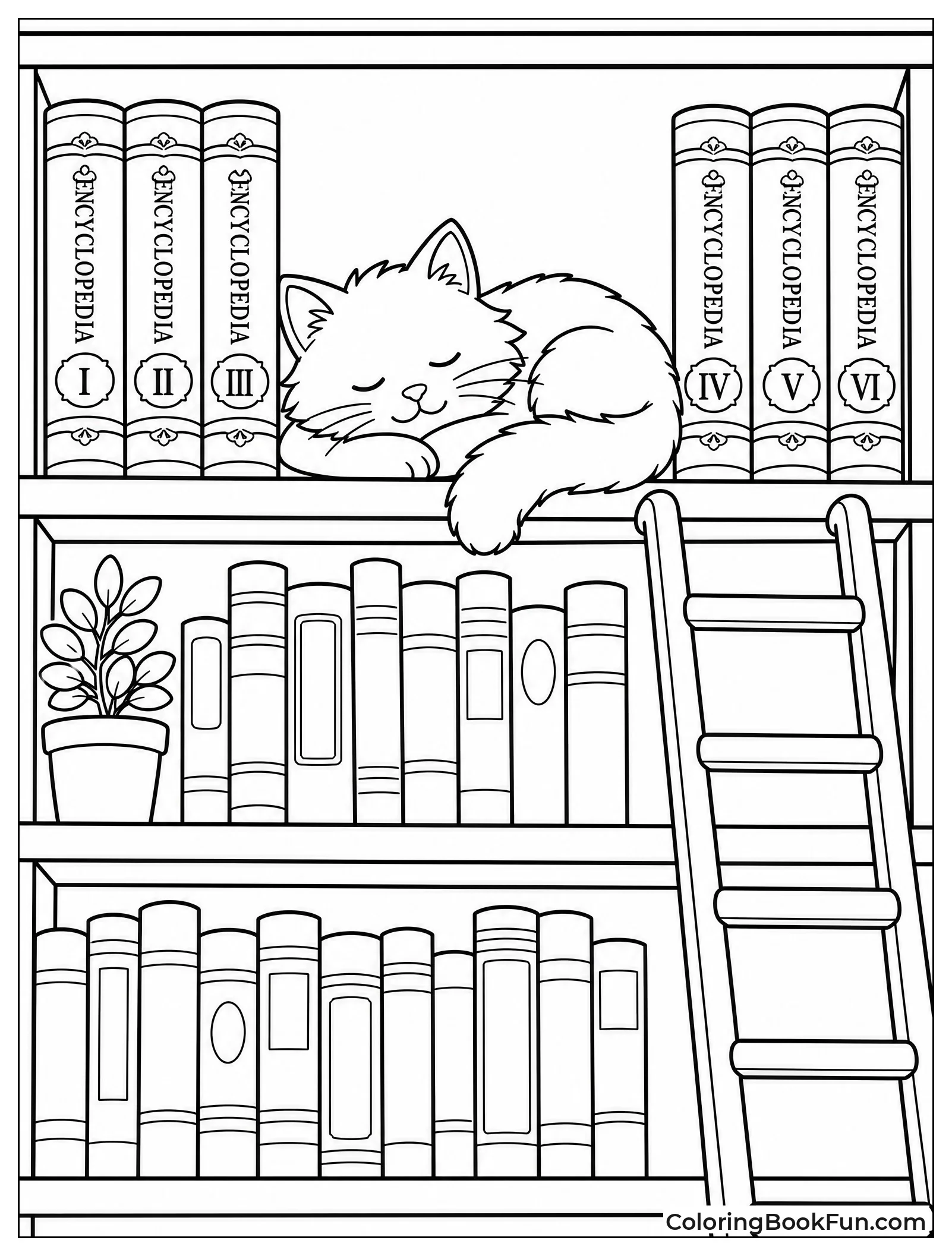Fluffy Cat Napping on Library Shelf