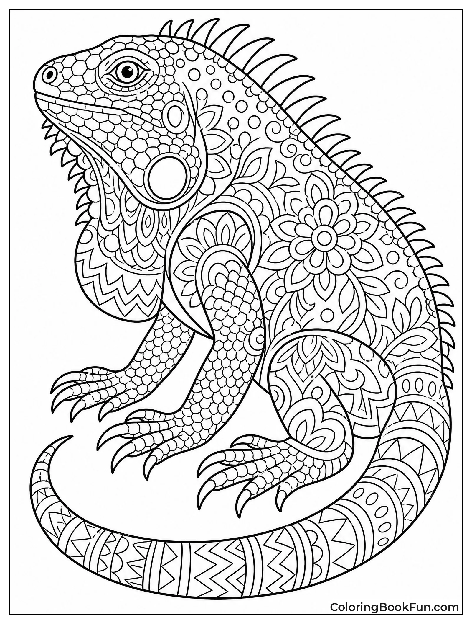 Mandala Iguana Filled with Patterns