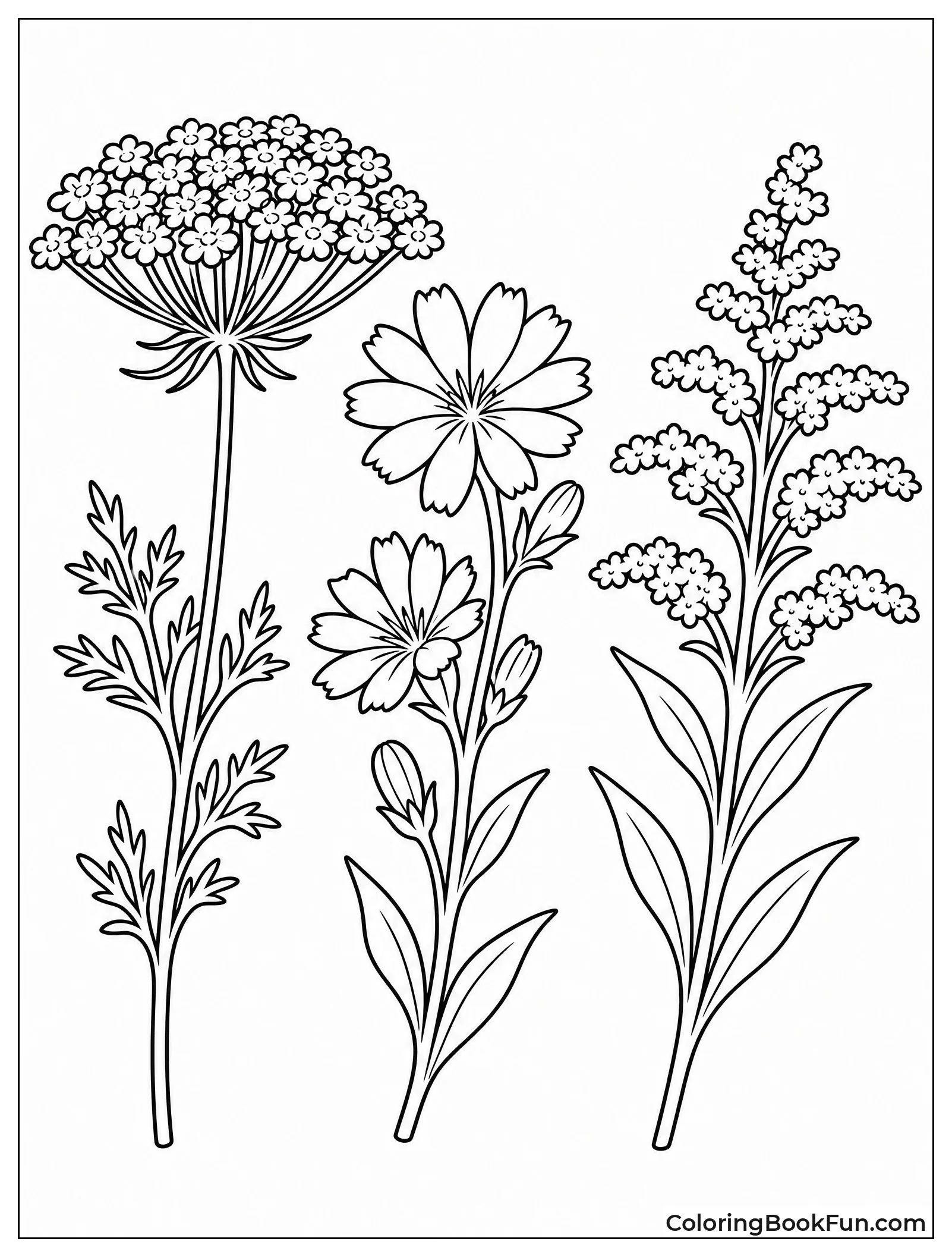 Three Simple Wildflower Stems