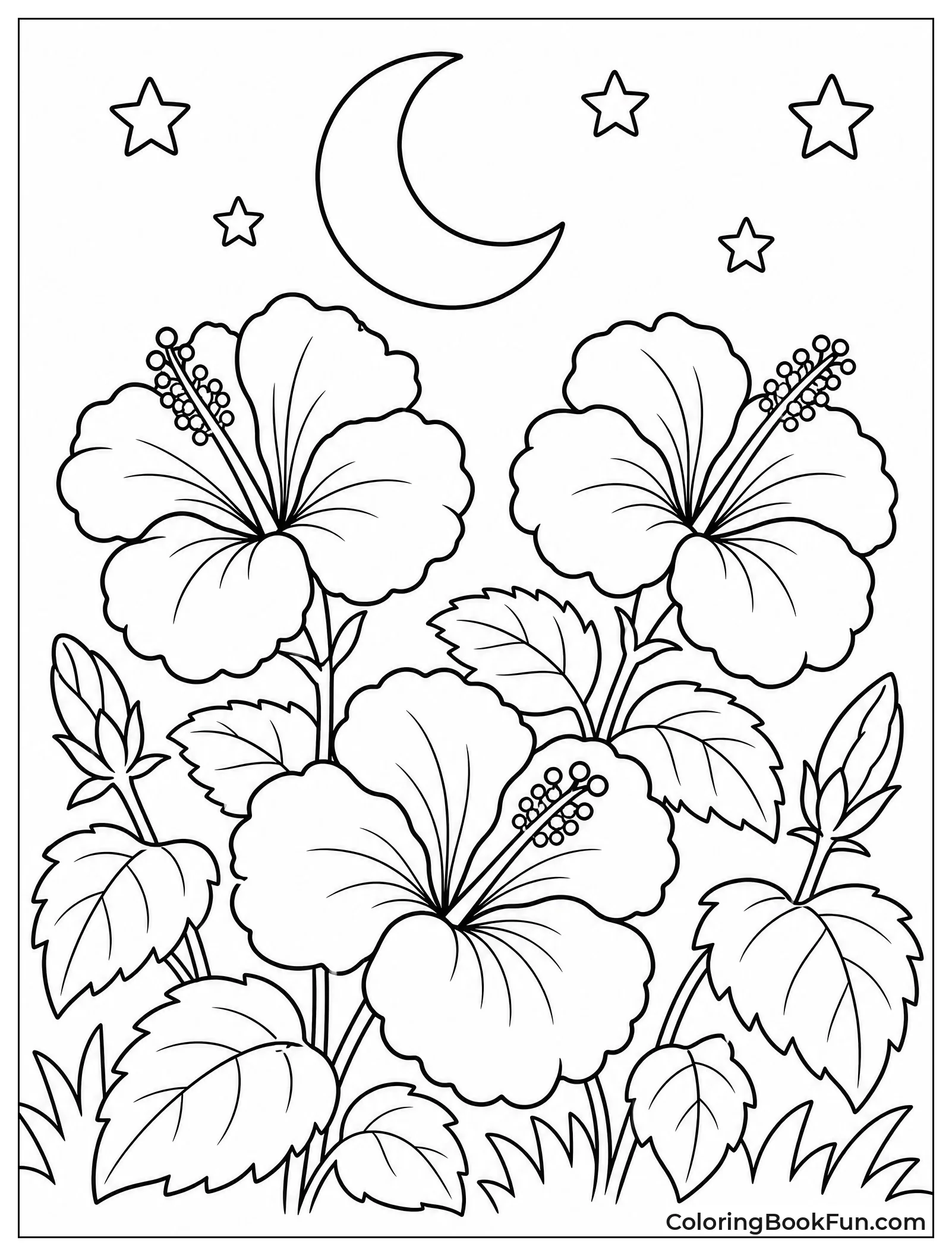 Hibiscus Flowers Glowing in Moonlight