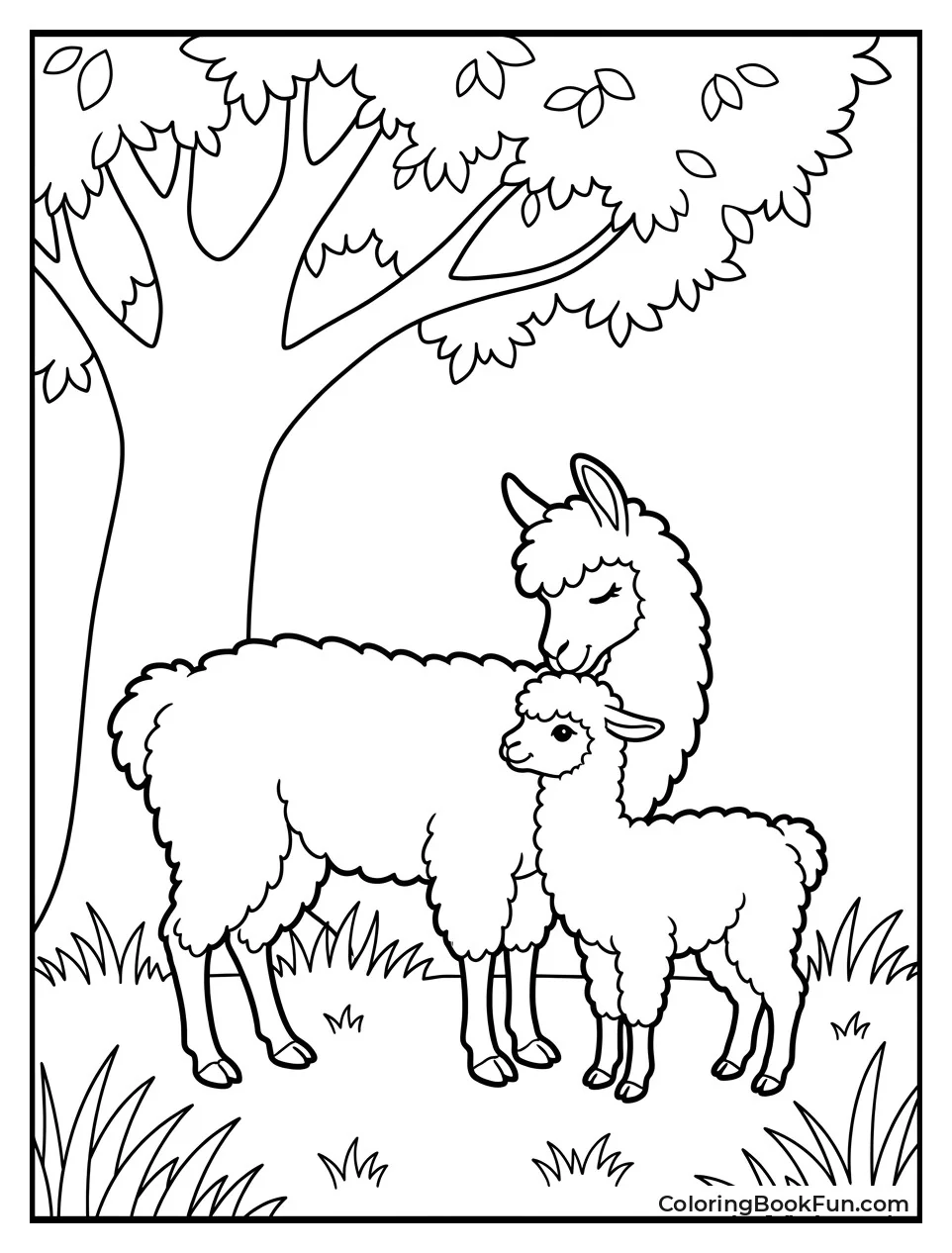 Mother Llama Nuzzling Her Baby