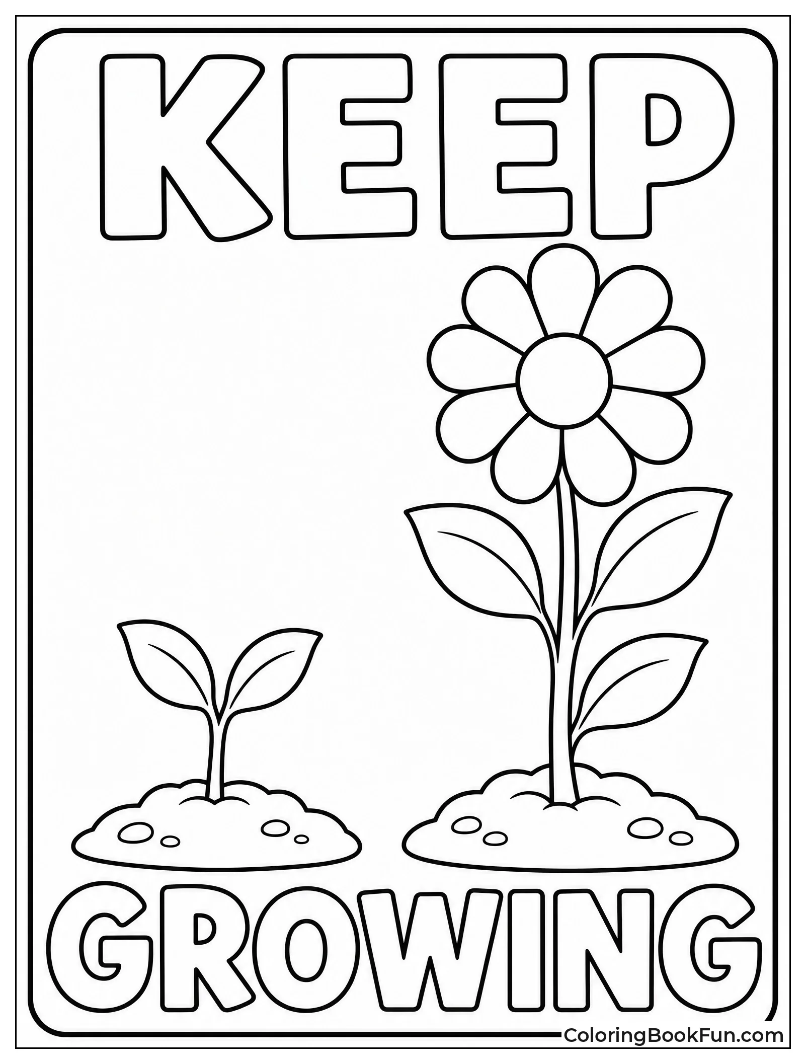 Tiny Plant Grows Into Tall Flower
