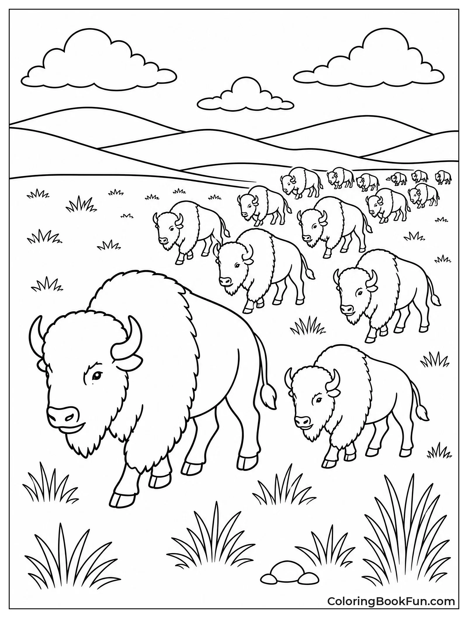 Large Herd of Buffalo Migrating