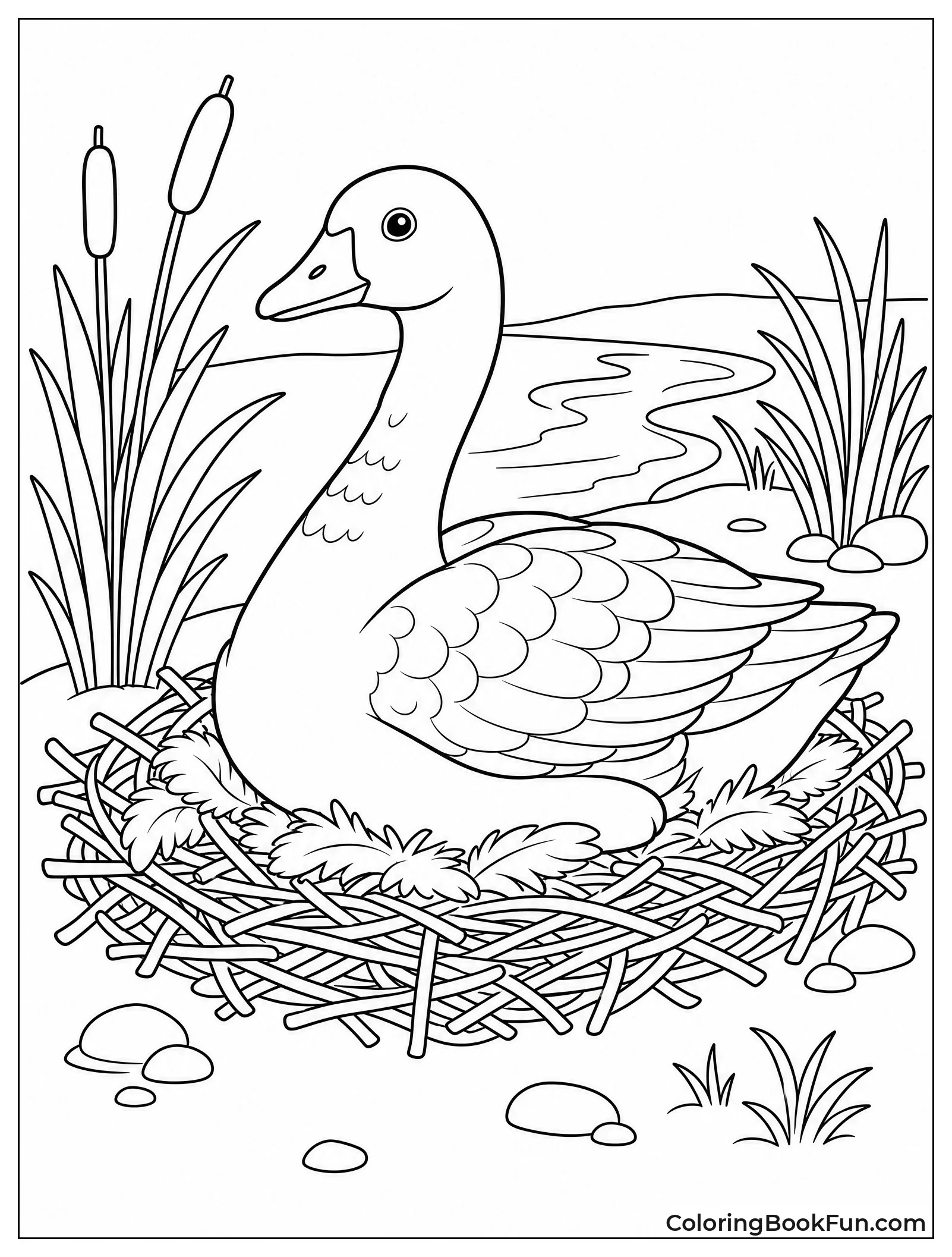 Goose Sitting on Nest