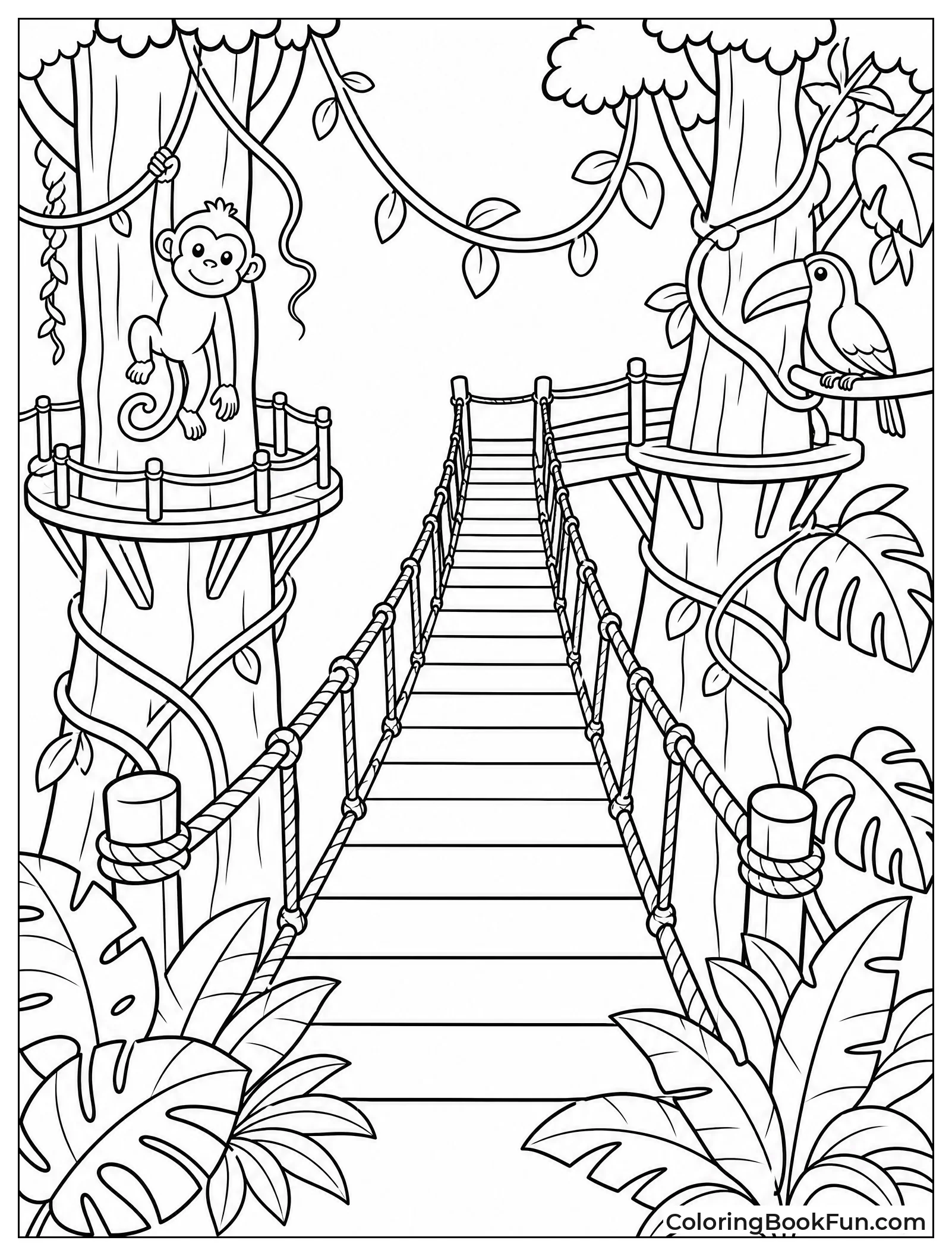 Rope Bridge in Canopy