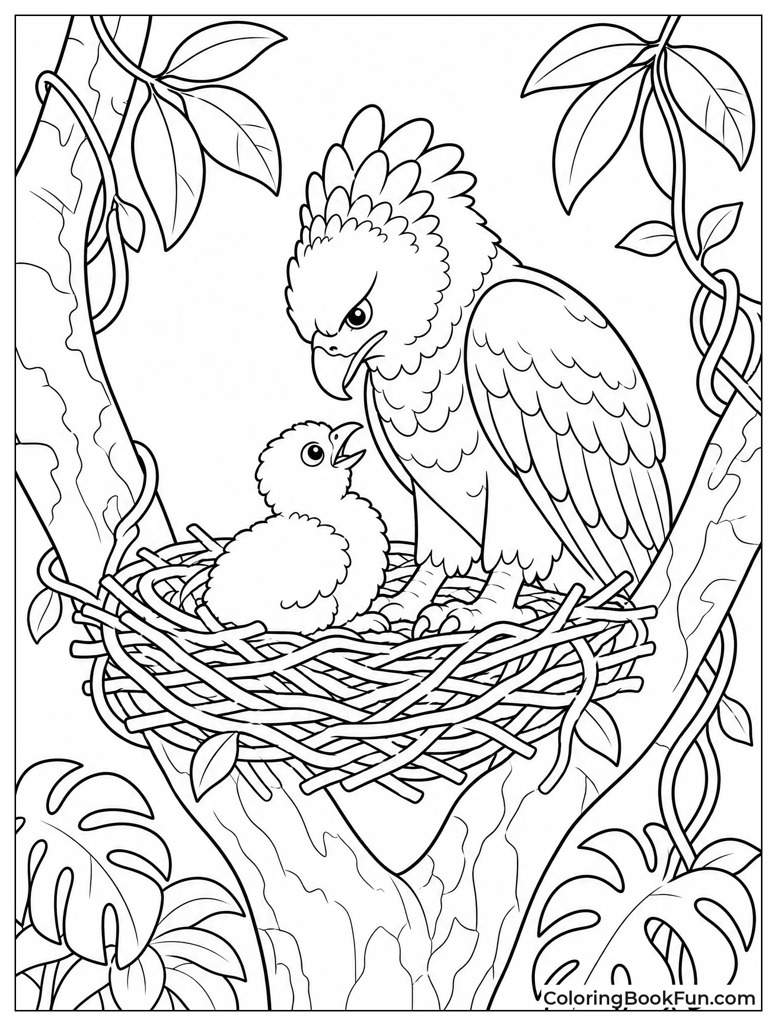 Harpy Eagle Feeding Its Chick