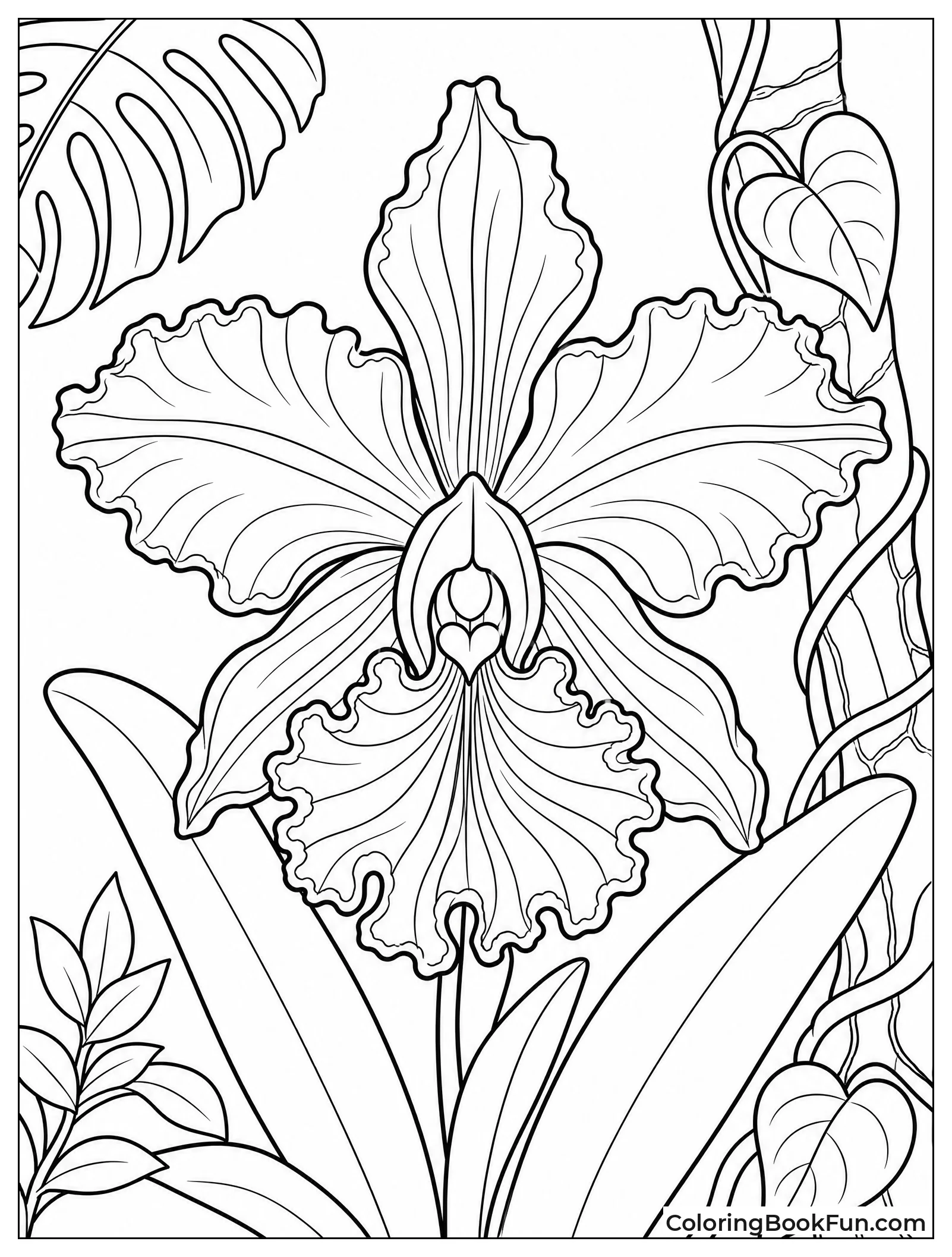 Orchid Blooming with Detailed Petals