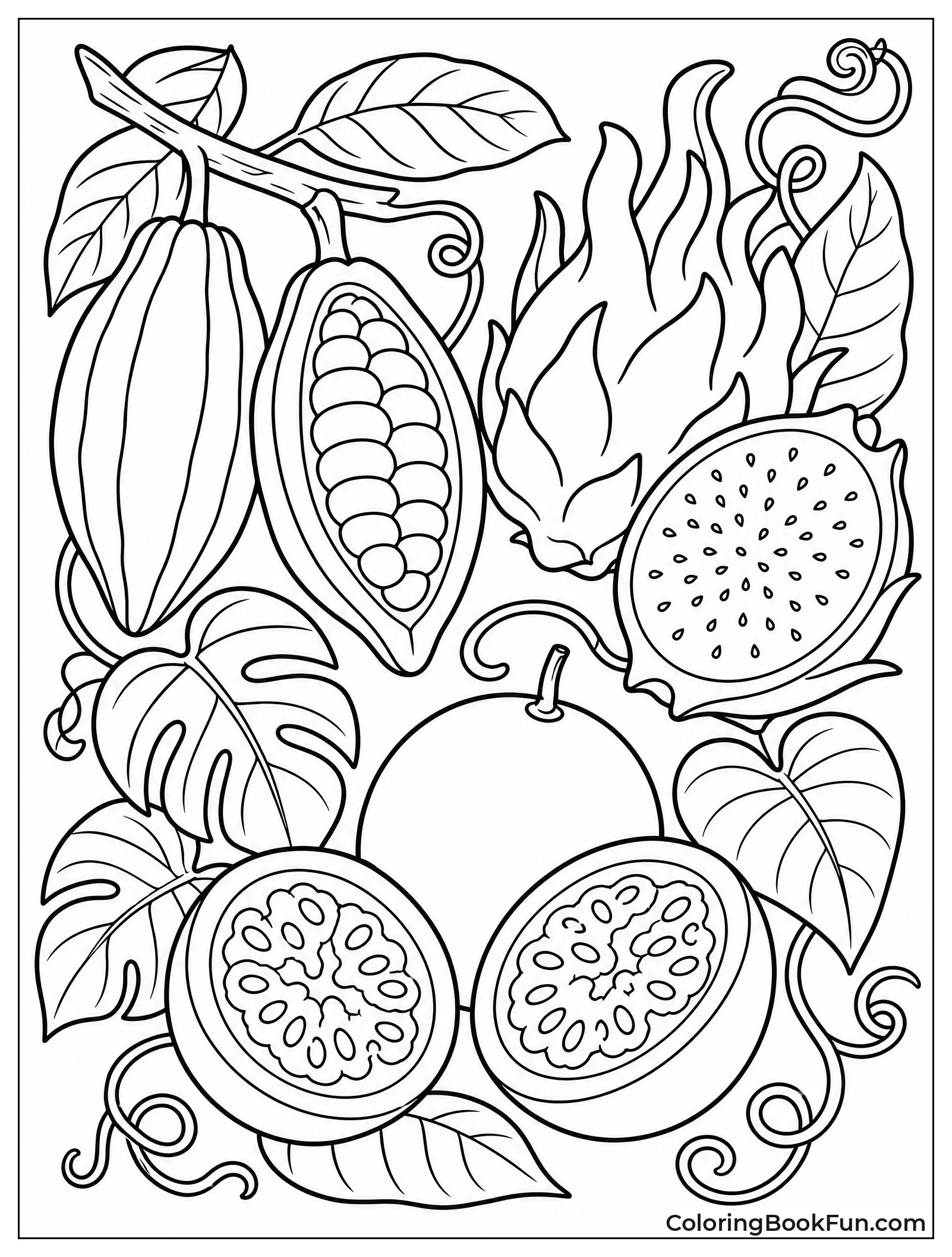 Assorted Jungle Fruits on Display