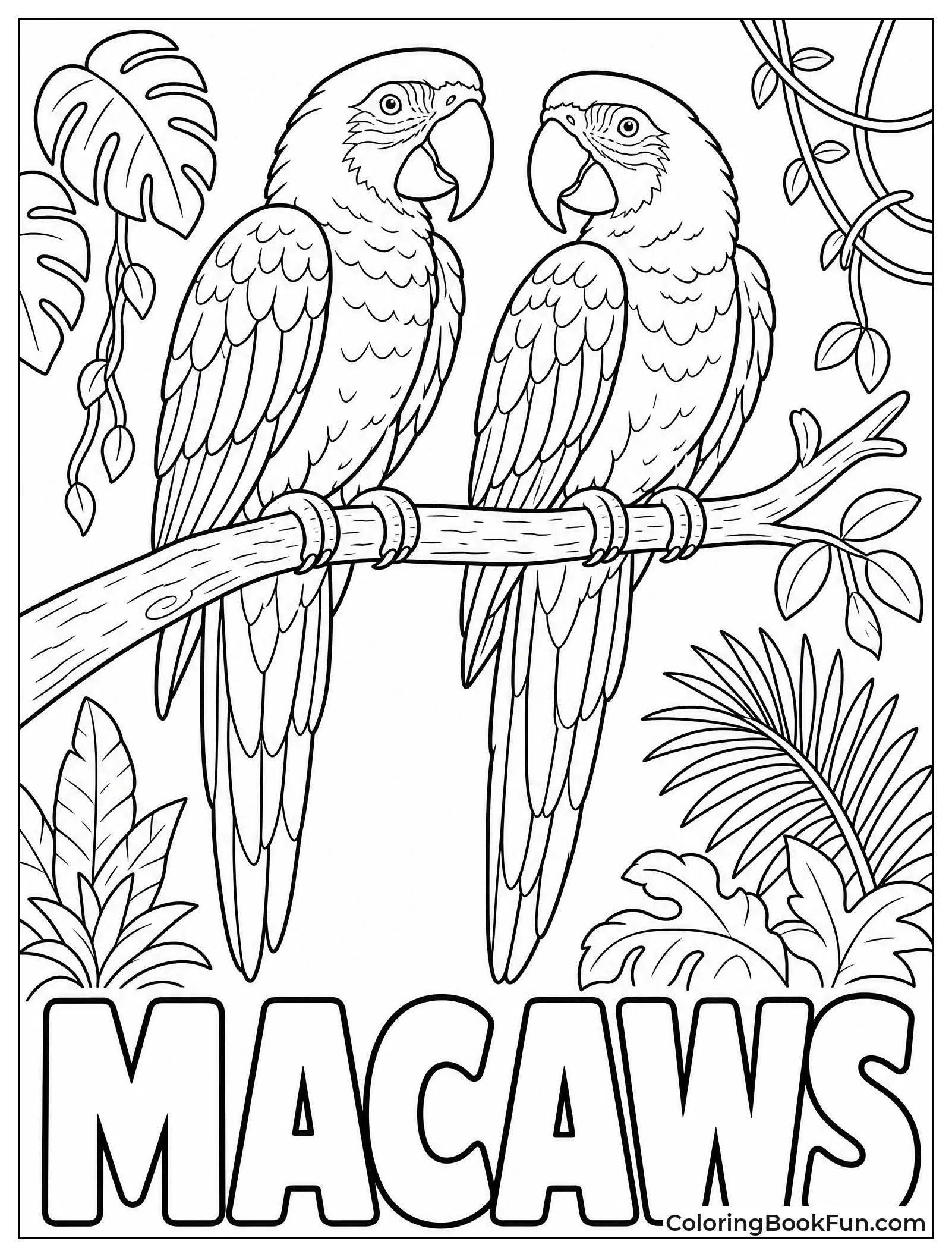 Two Macaws Perched on Branch