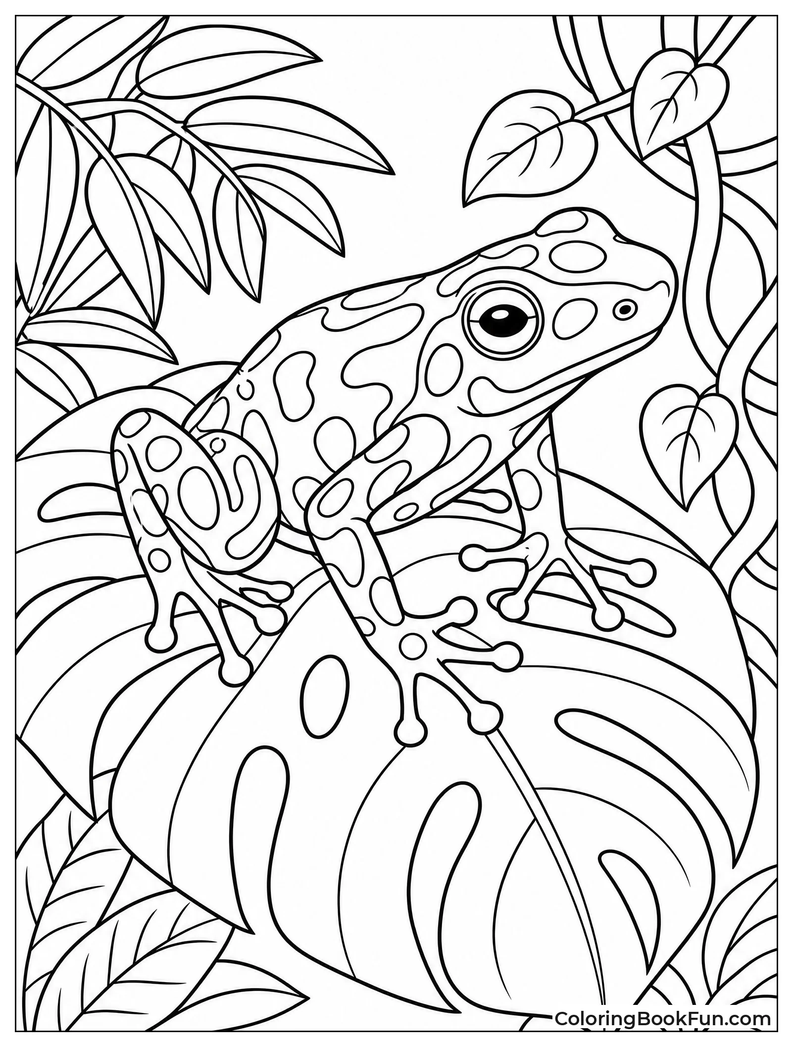 Poison Dart Frog on Leaf