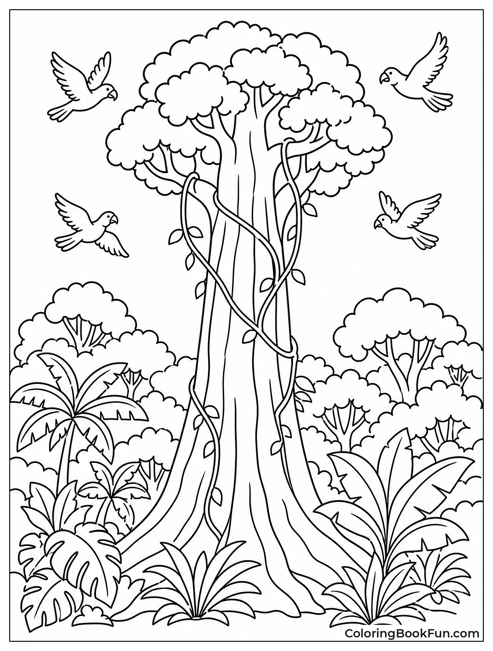Great Kapok Tree Towering Above