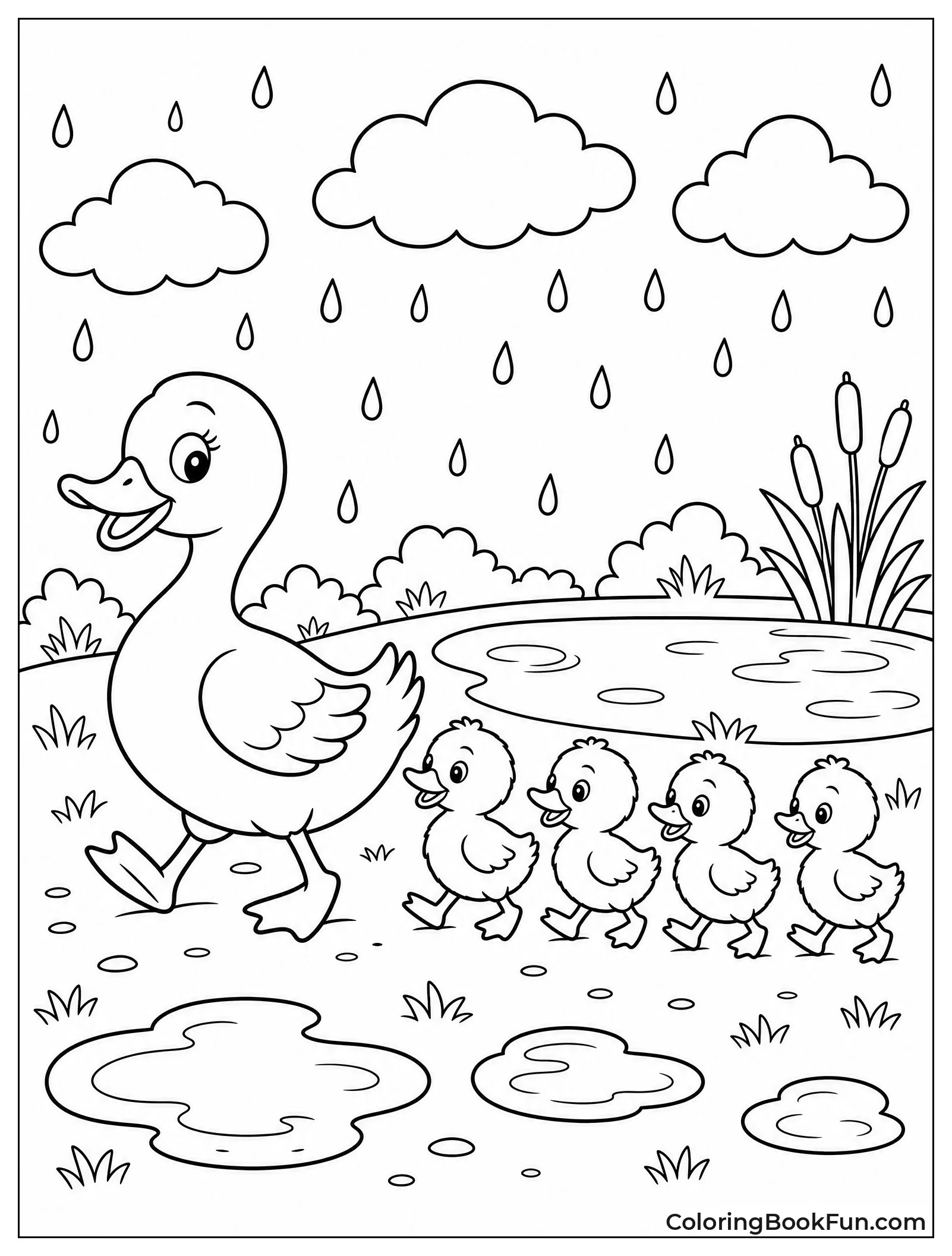 Duck Leads Ducklings Through Rain
