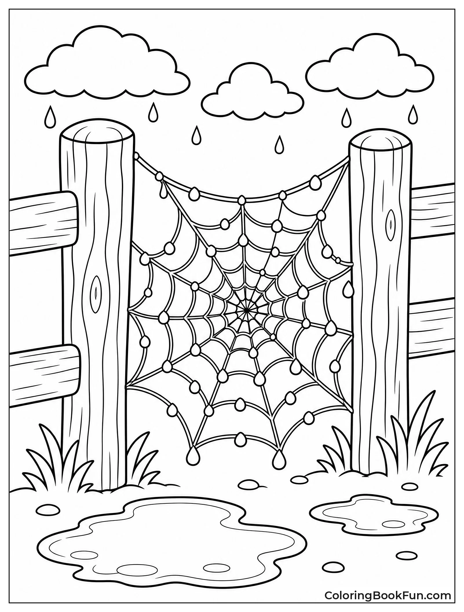 Dew on Spiderweb After Rain