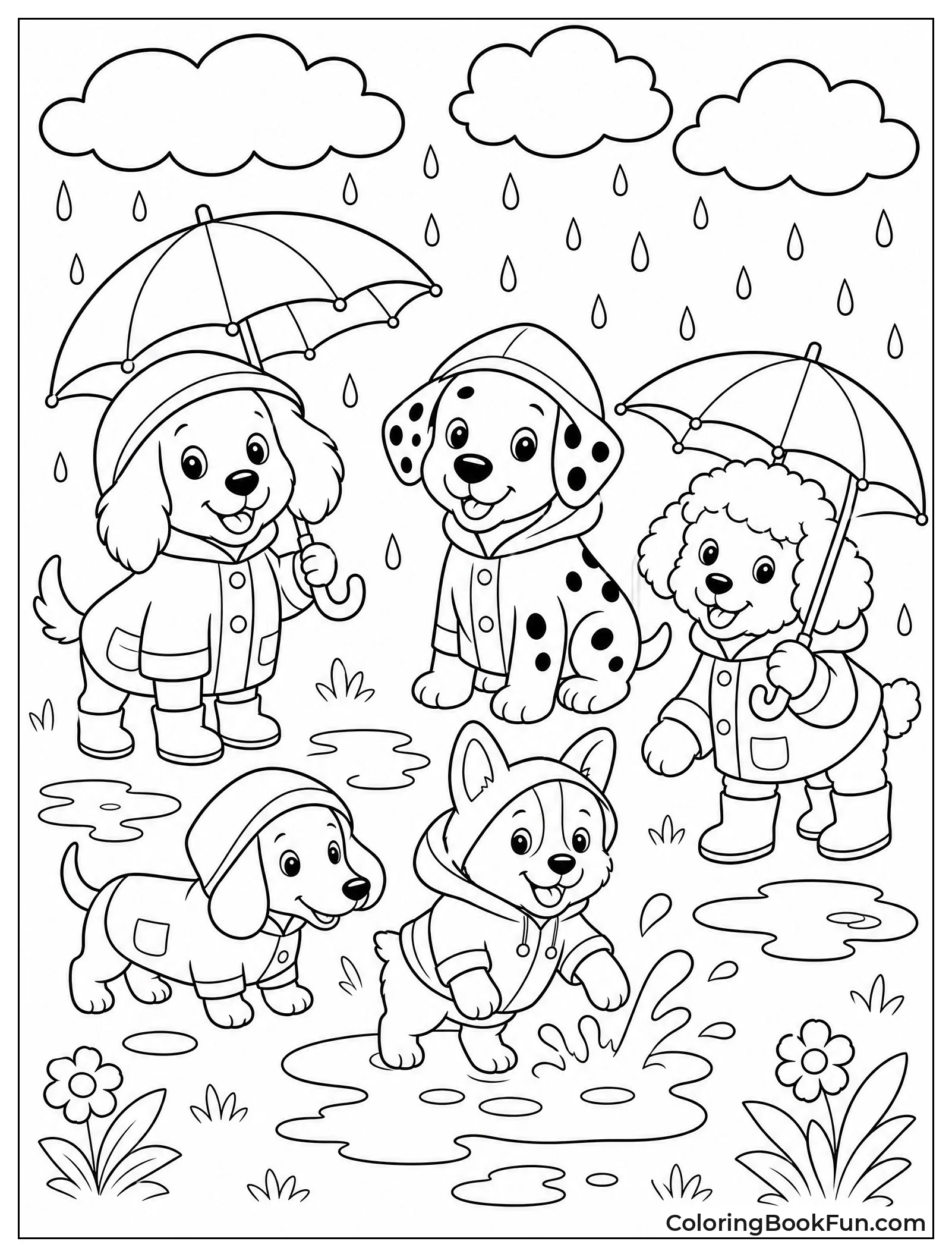 Puppies Wear Colorful Raincoats and Hoods