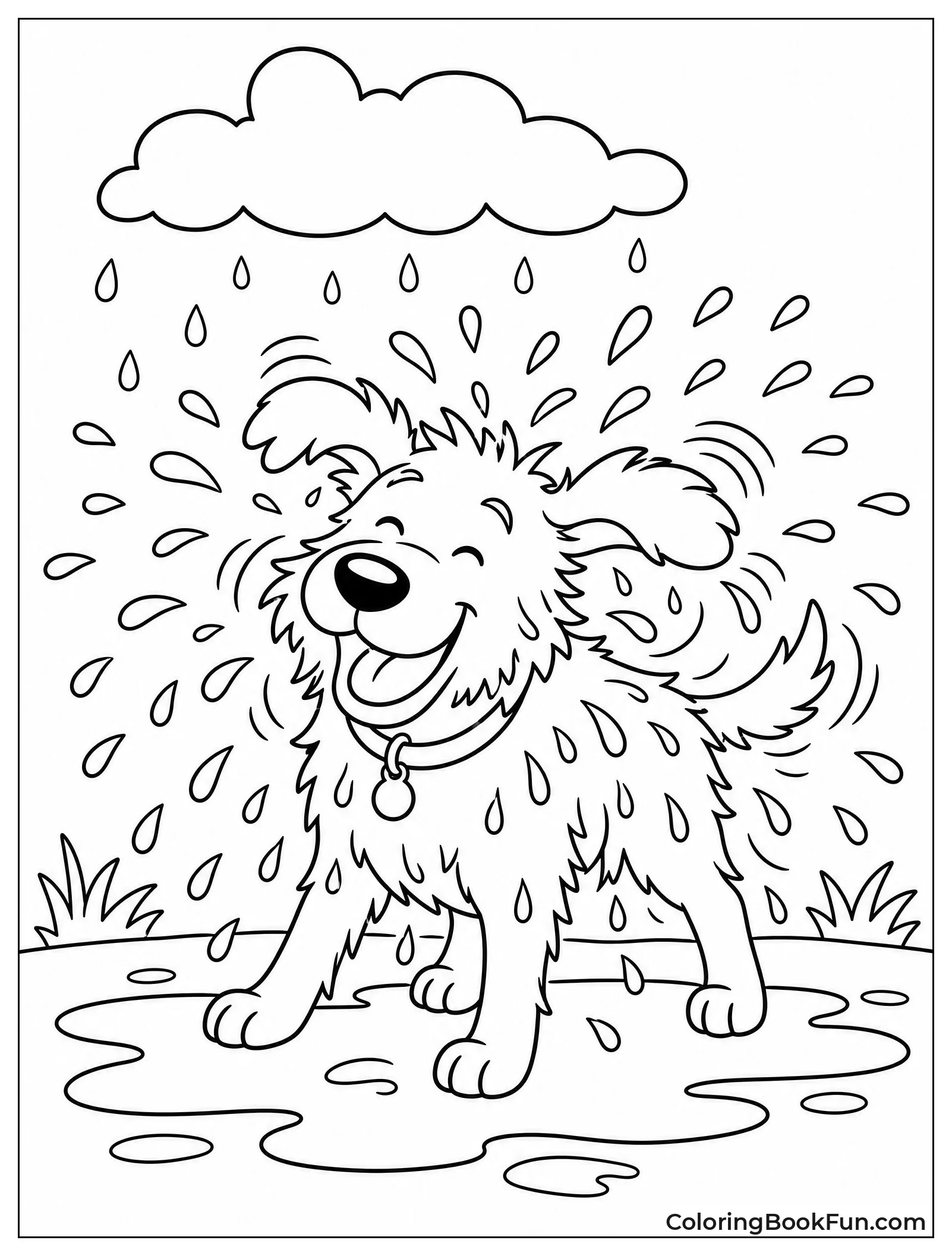 Wet Dog Shakes Water Everywhere