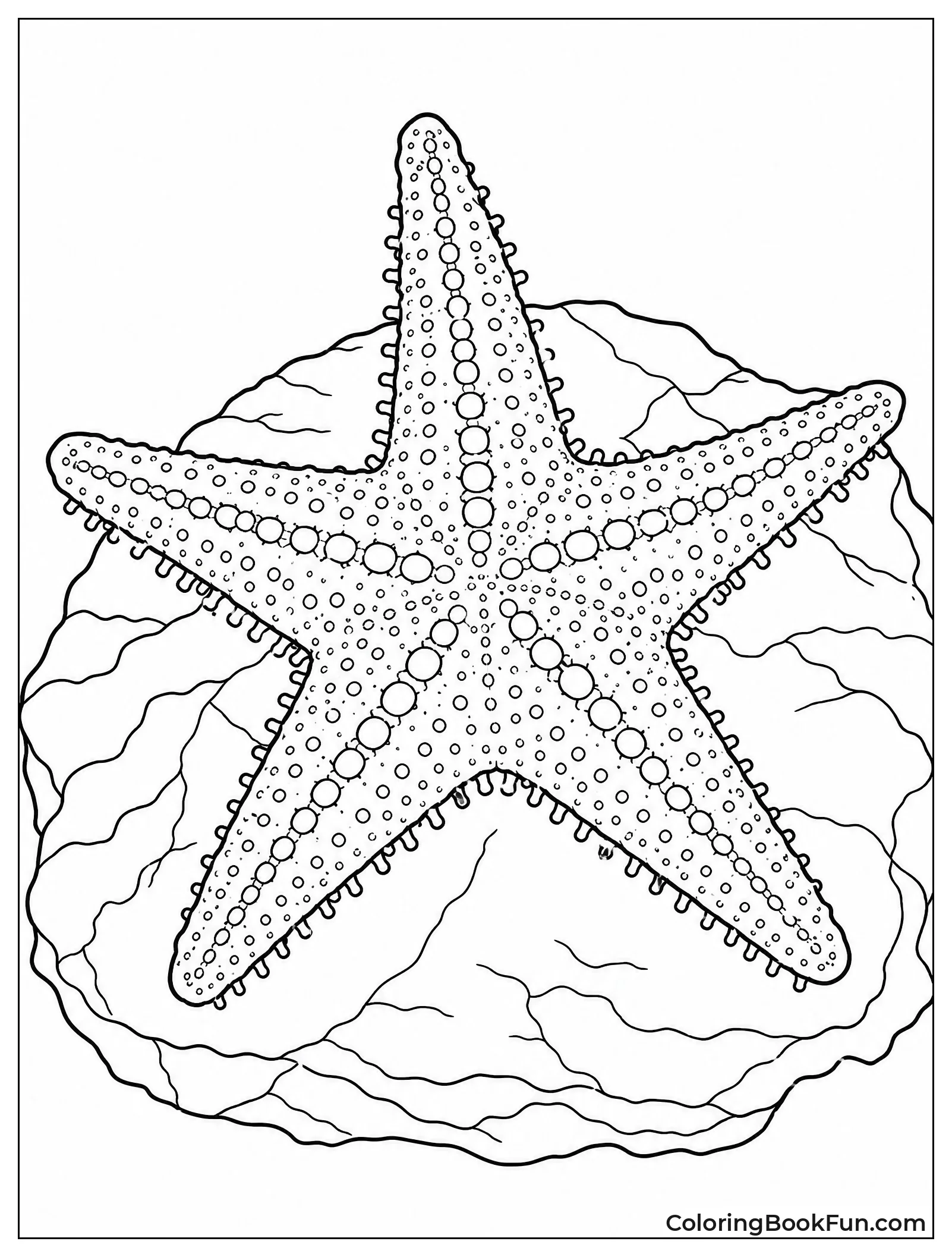 Realistic Starfish on Rocky Surface