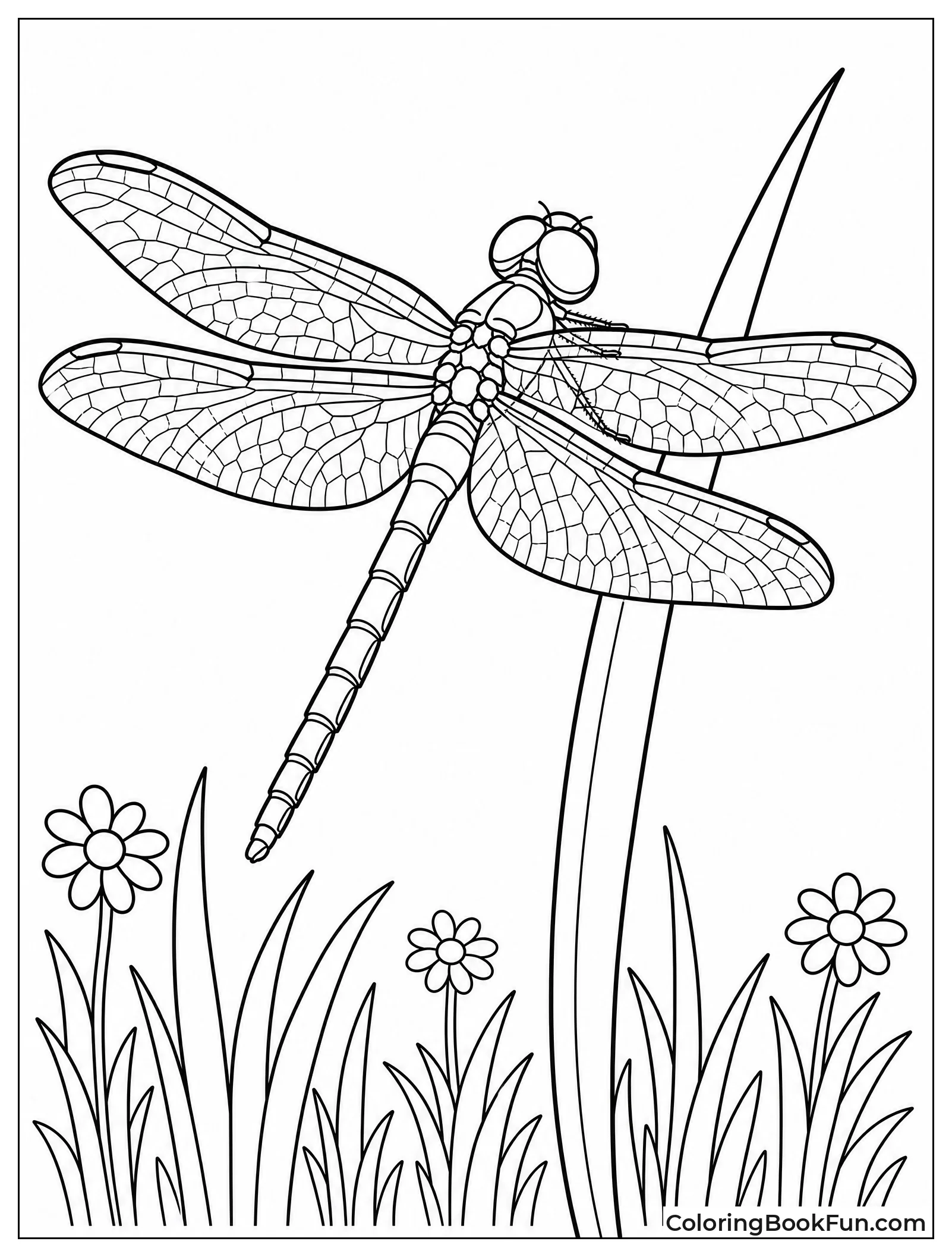 Realistic Dragonfly on Grass