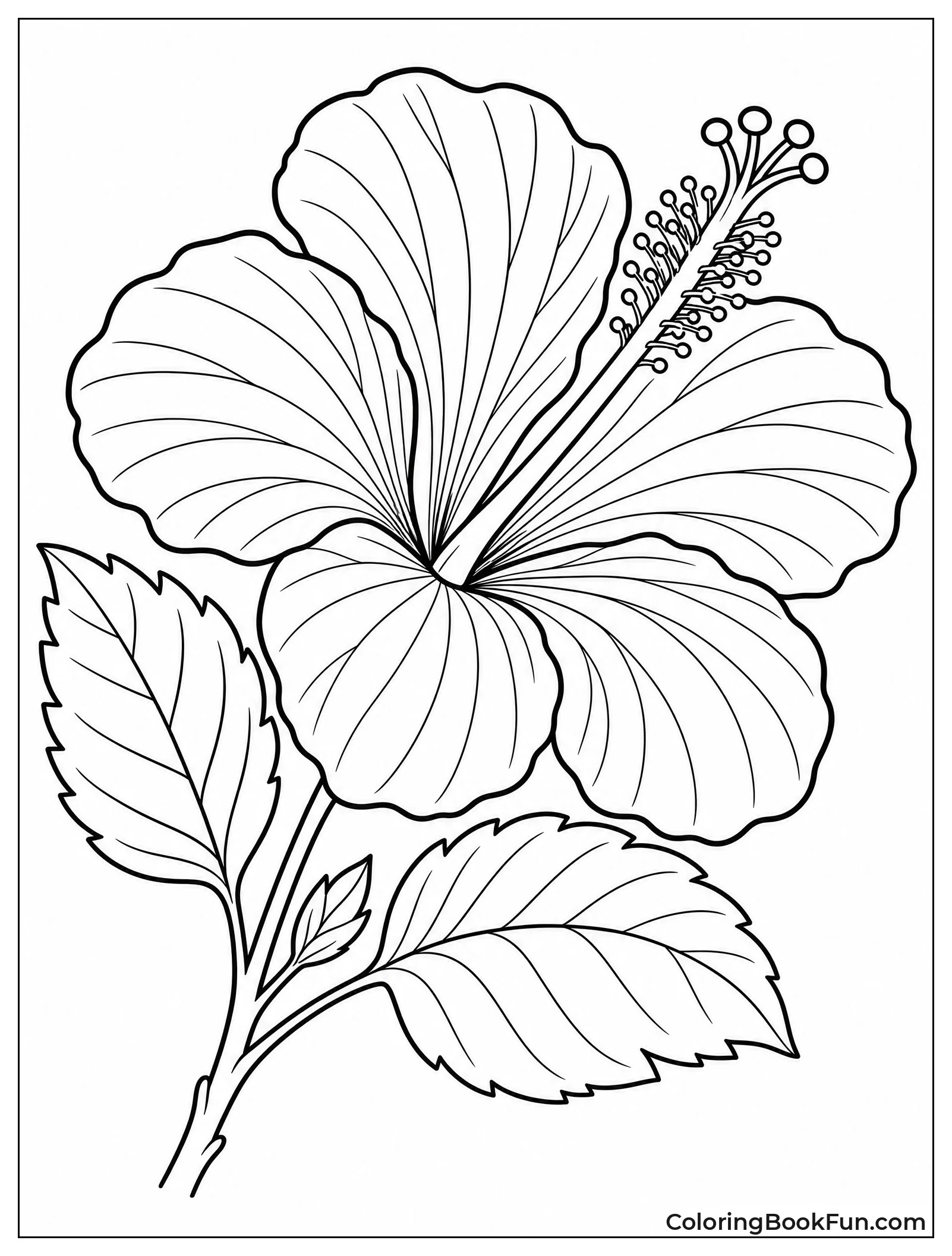Realistic Hibiscus Flower in Bloom
