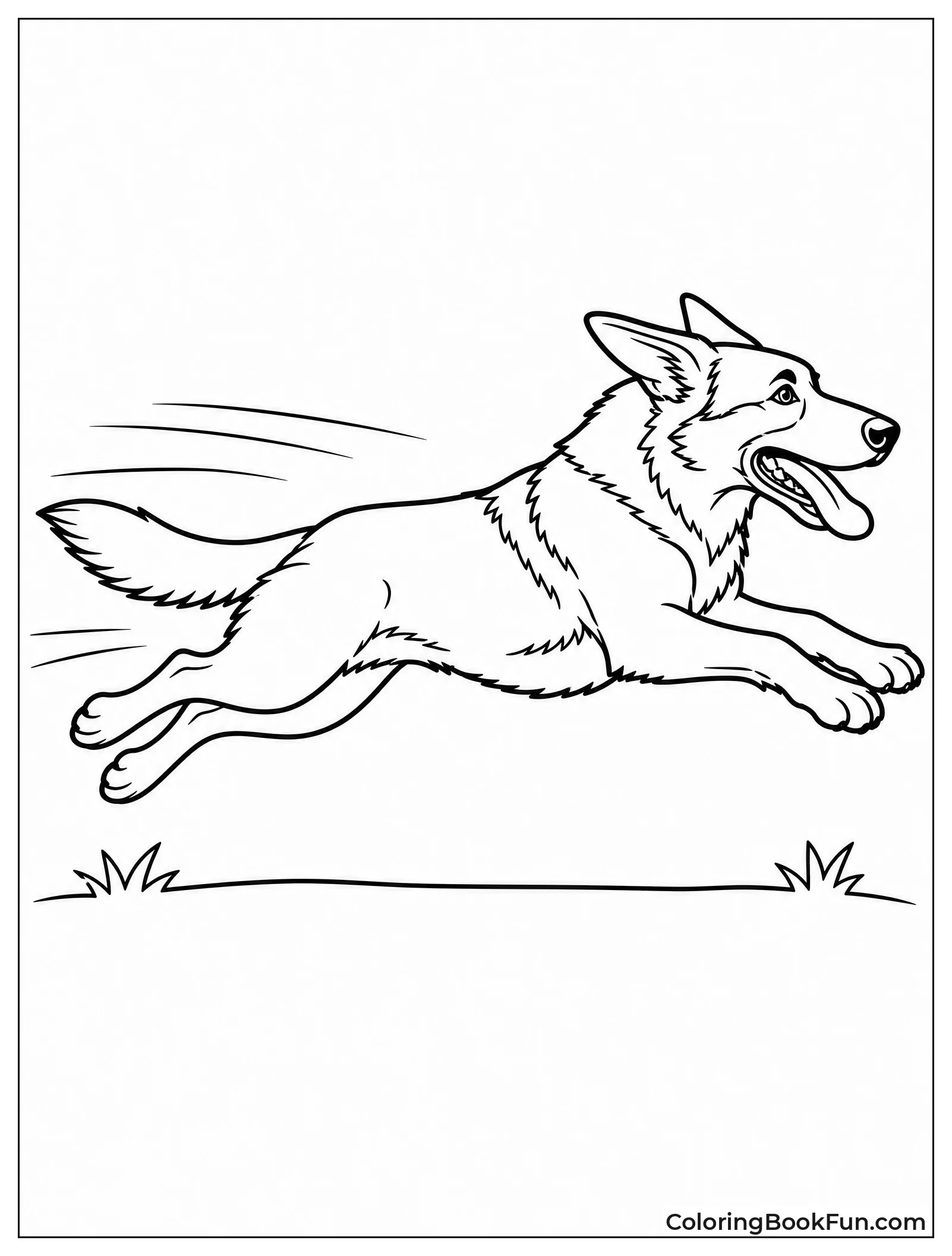 German Shepherd Running at Full Speed