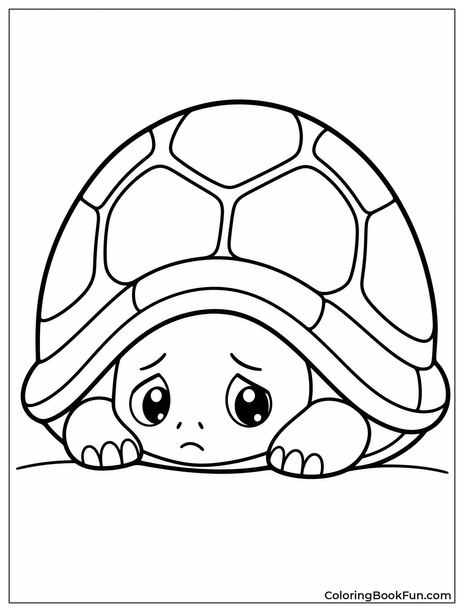 Turtle Hiding in Shell