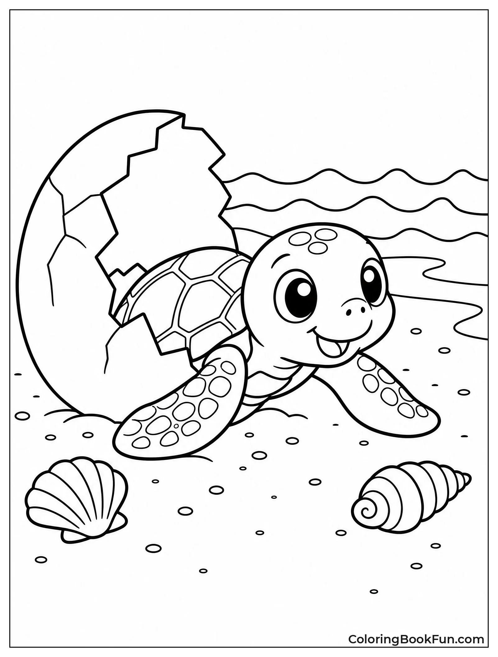 Baby Turtle Heads To Ocean