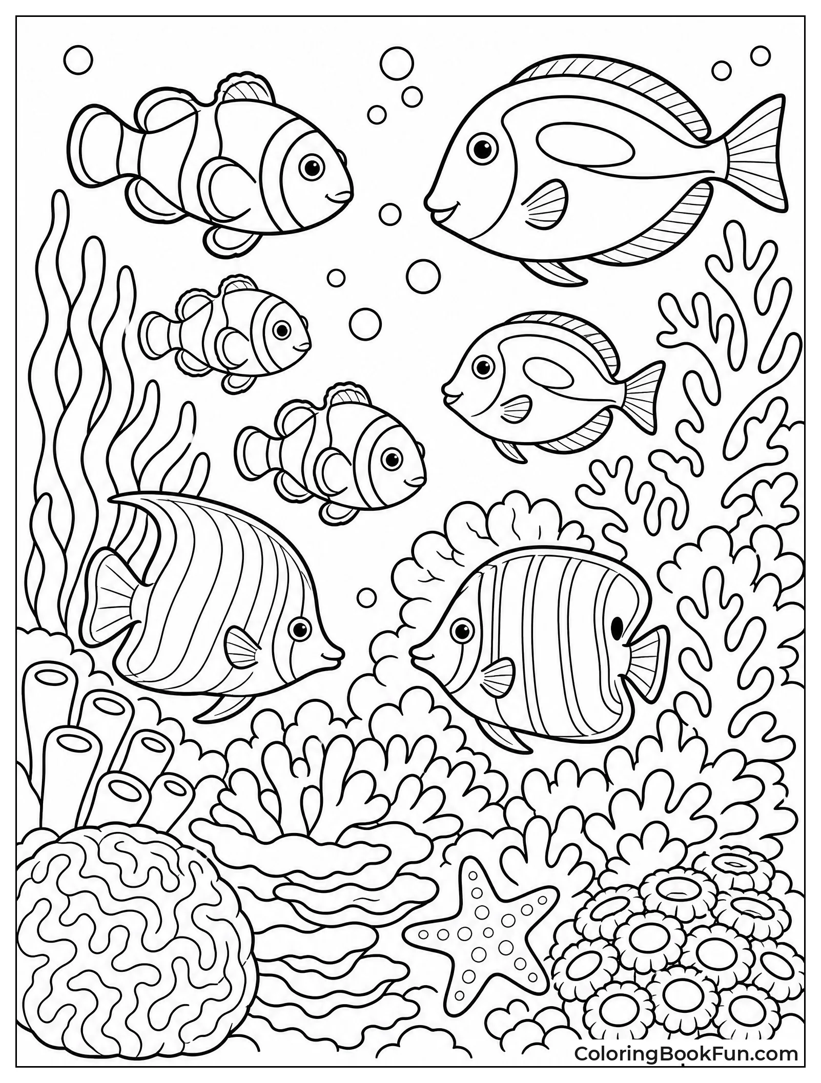 Fish Swim Among Coral Reef