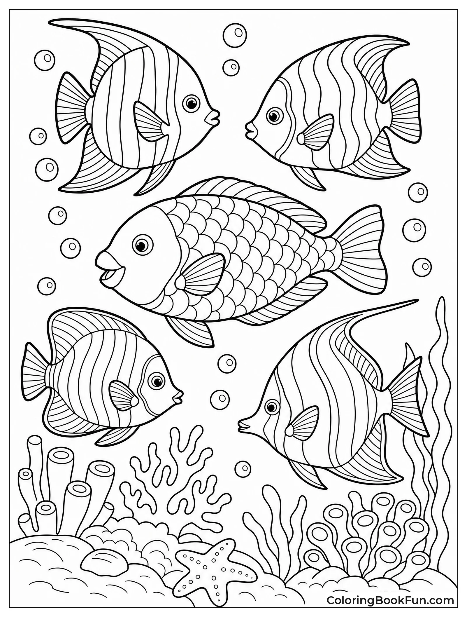 Colorful Reef Fish Show Details