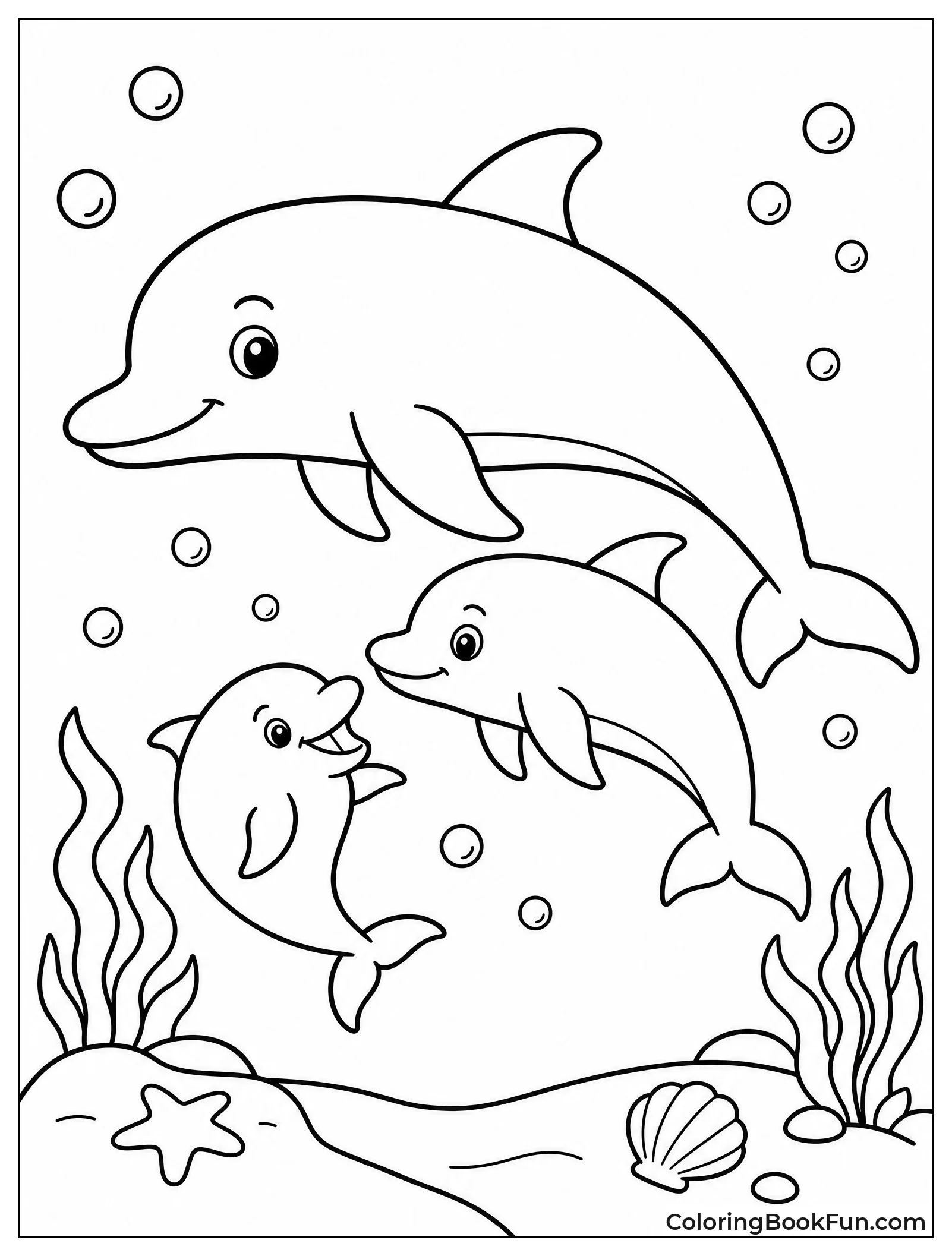 Mother Dolphin Swims With Calves
