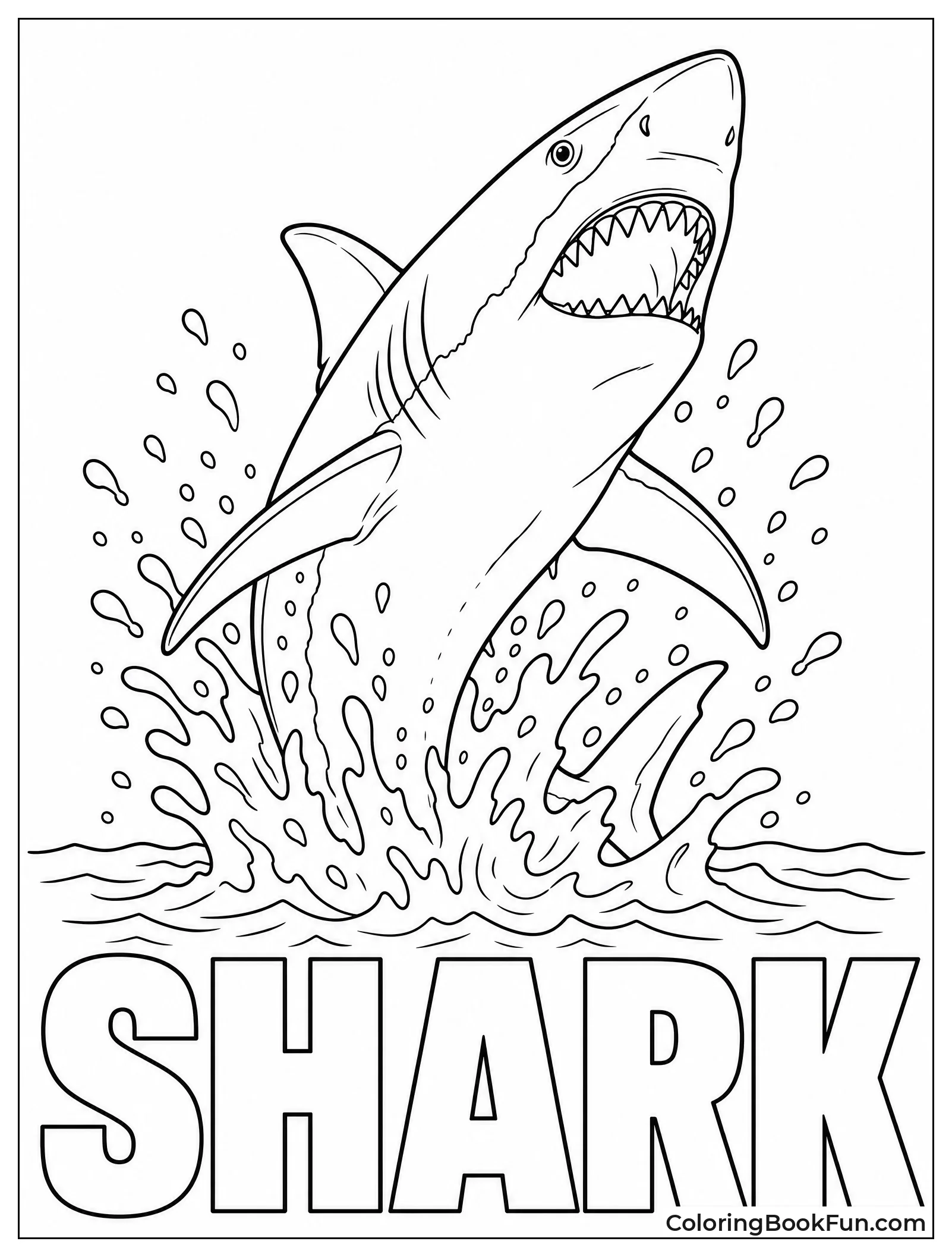 Great White Shark Leaps From Water