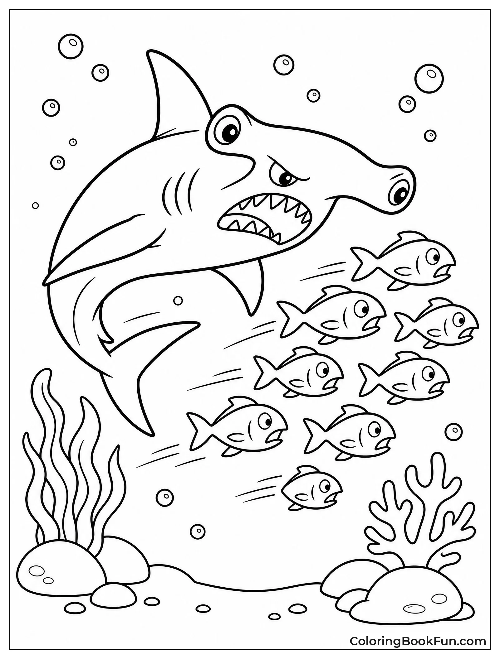Hammerhead Chases School Of Fish