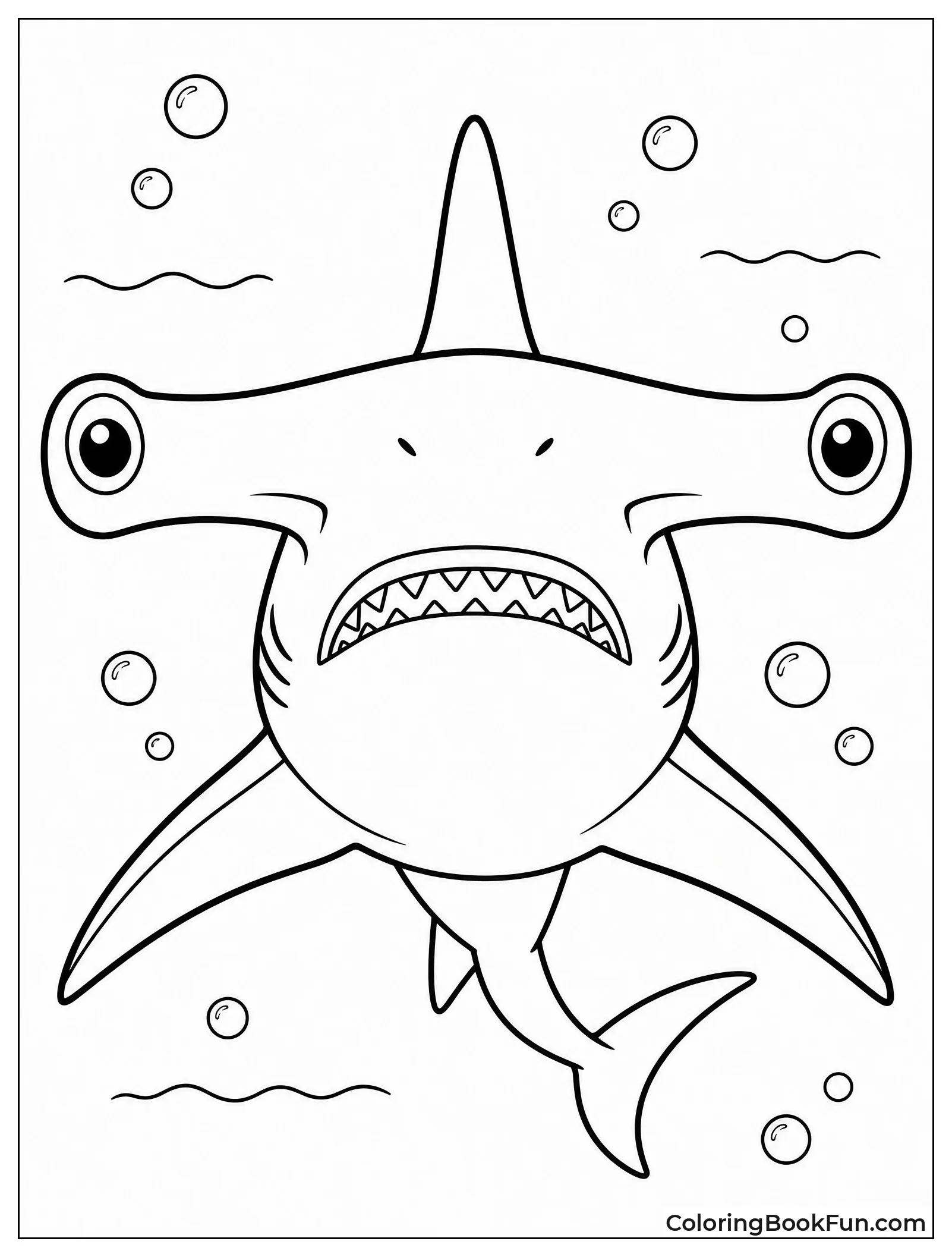Close Up Of Hammerhead Face