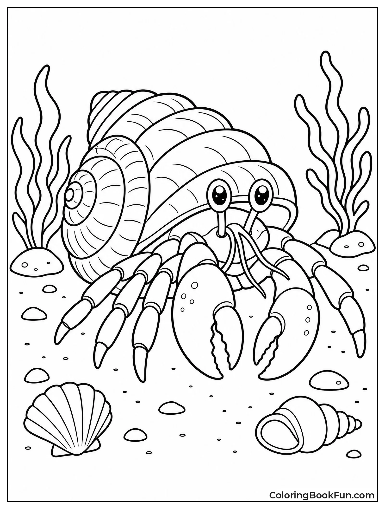 Hermit Crab Scuttles On Ocean Floor