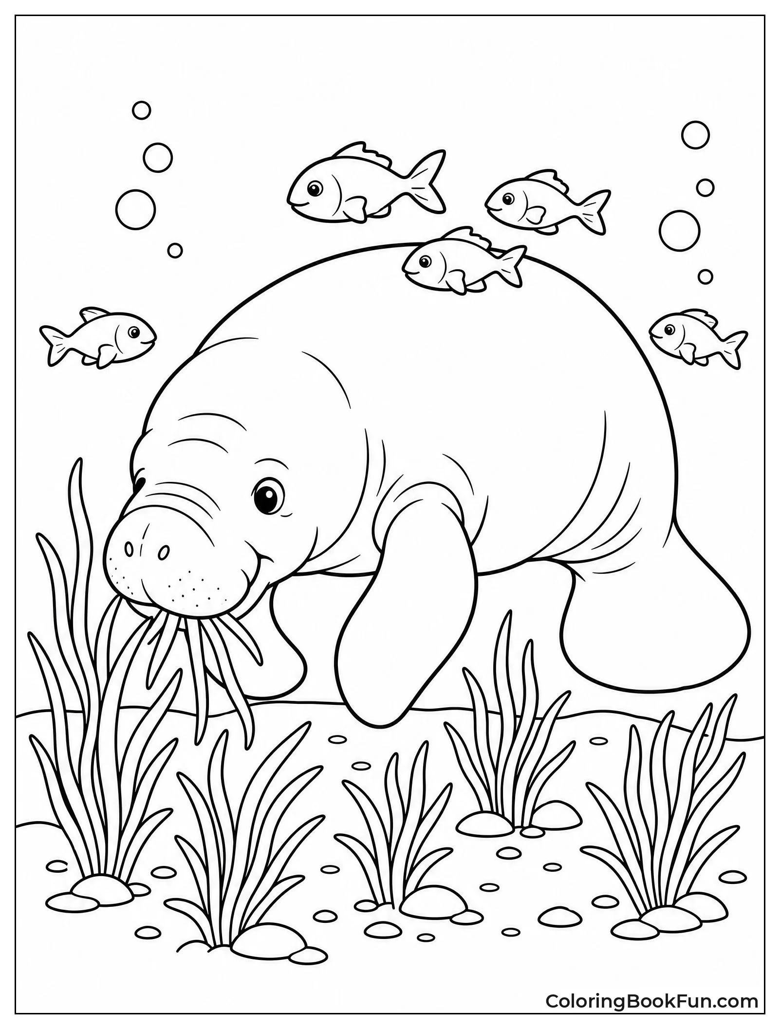 Manatee Eats Seagrass On Riverbed