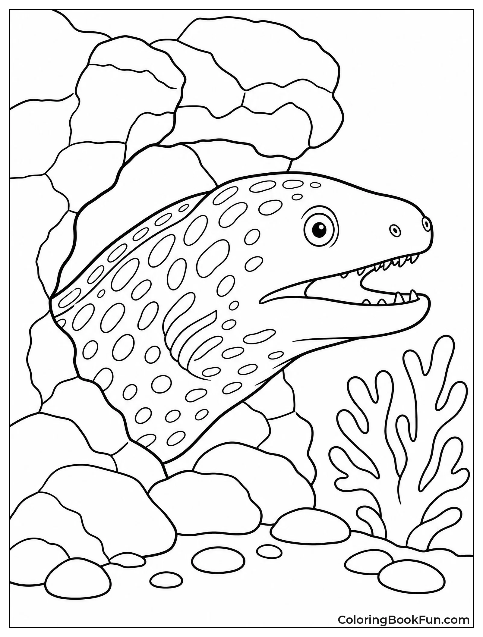 Moray Eel Peeks From Hole