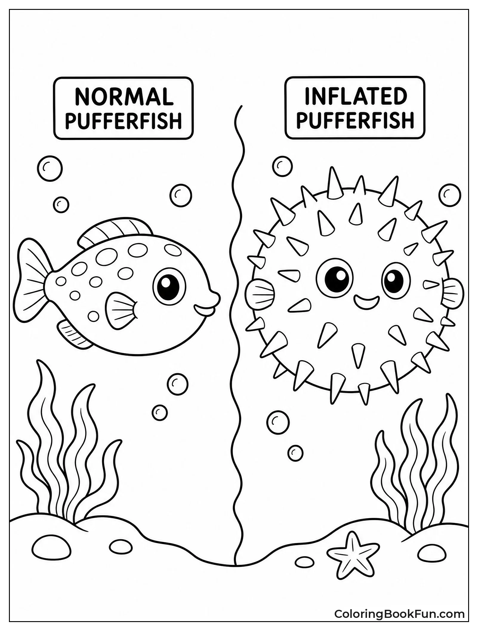 Pufferfish Normal And Inflated