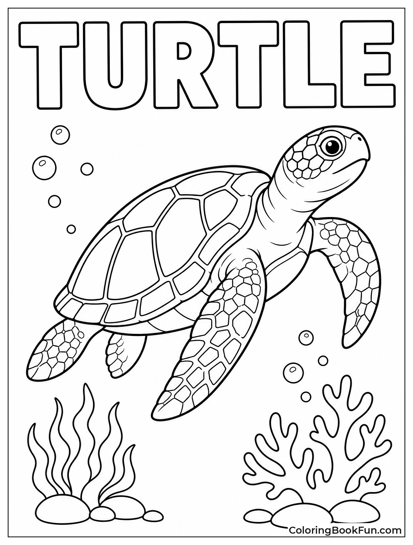 Sea Turtle Glides Through Water