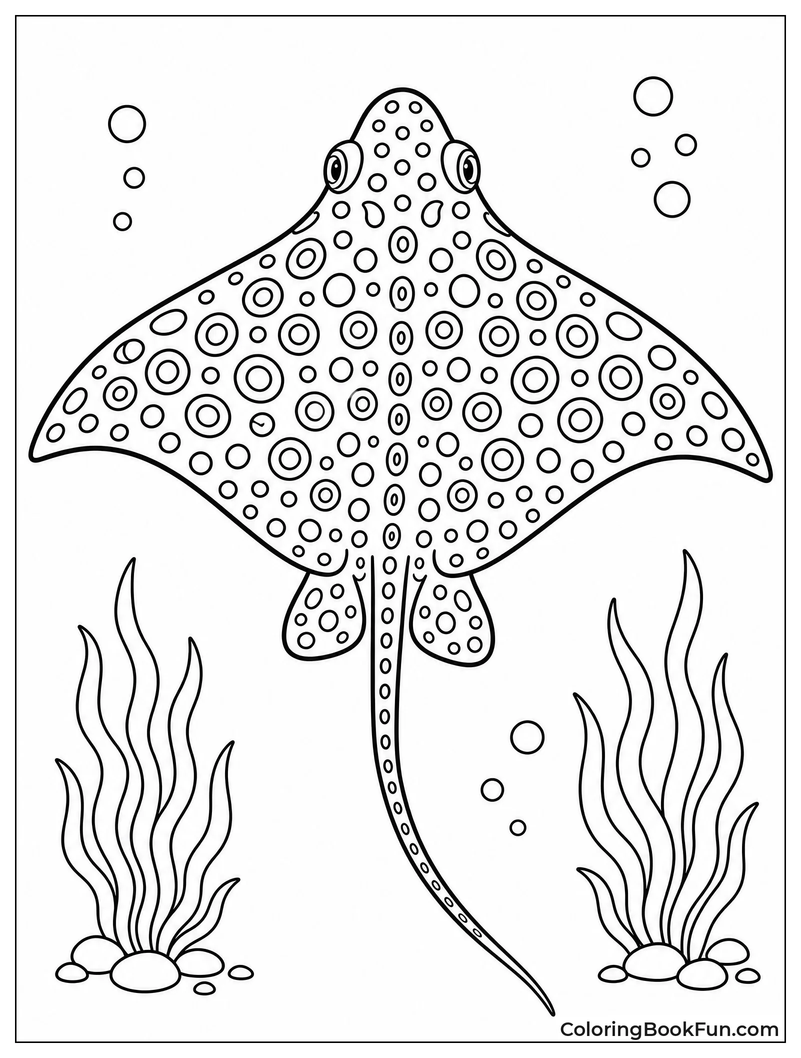 Spotted Eagle Ray Glides Gracefully
