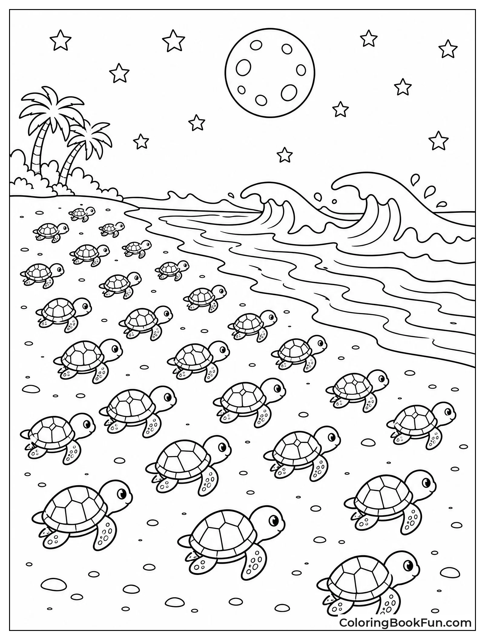 Baby Turtles Race To Waves