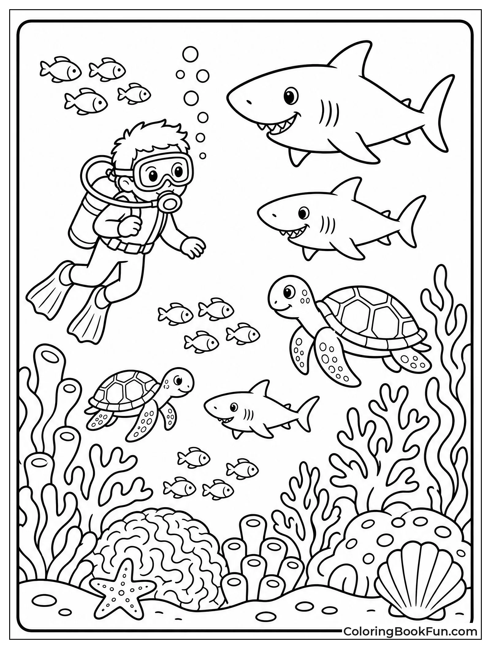 Diver Watches Sea Life Below