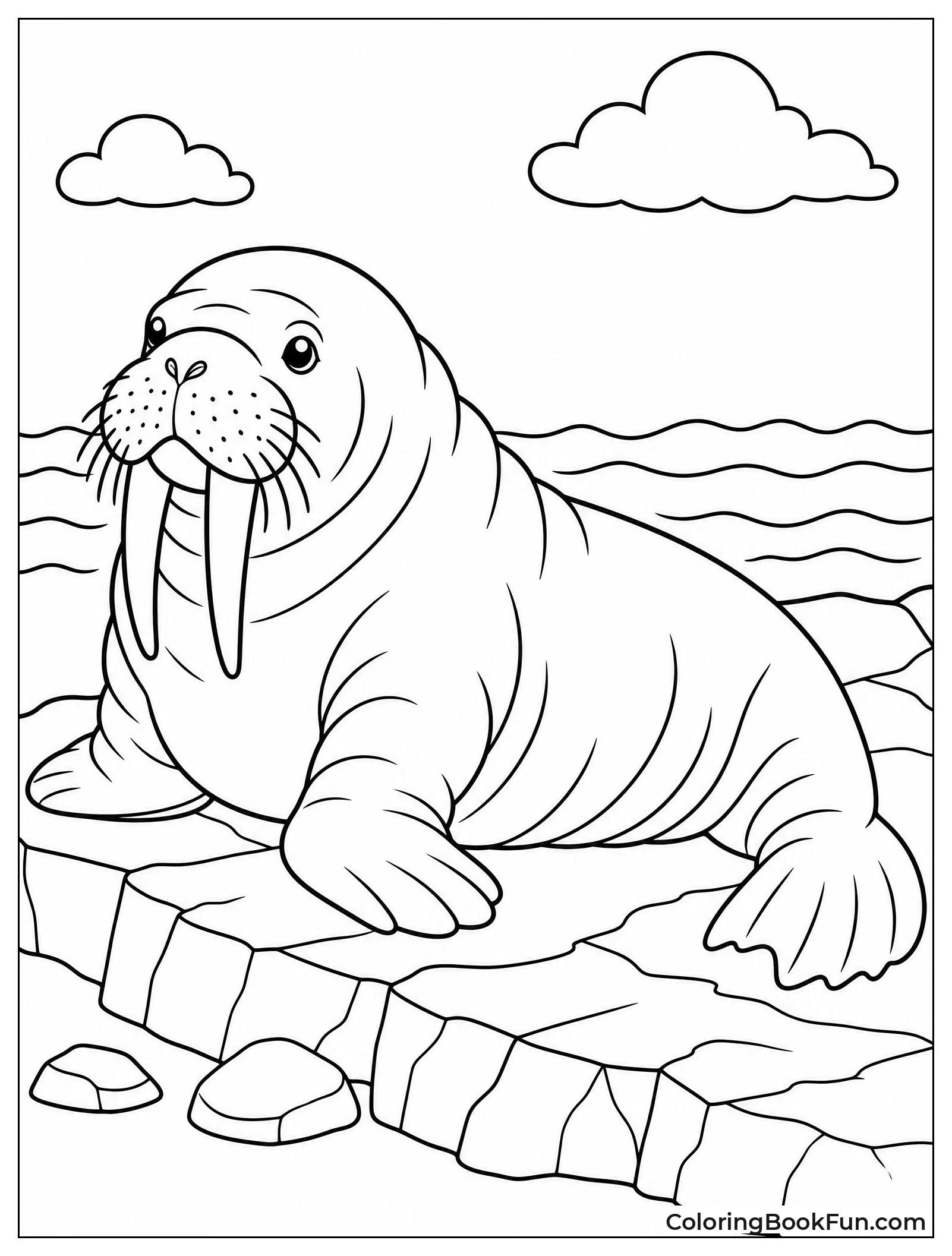 Walrus Sunbathes On Rocky Shore