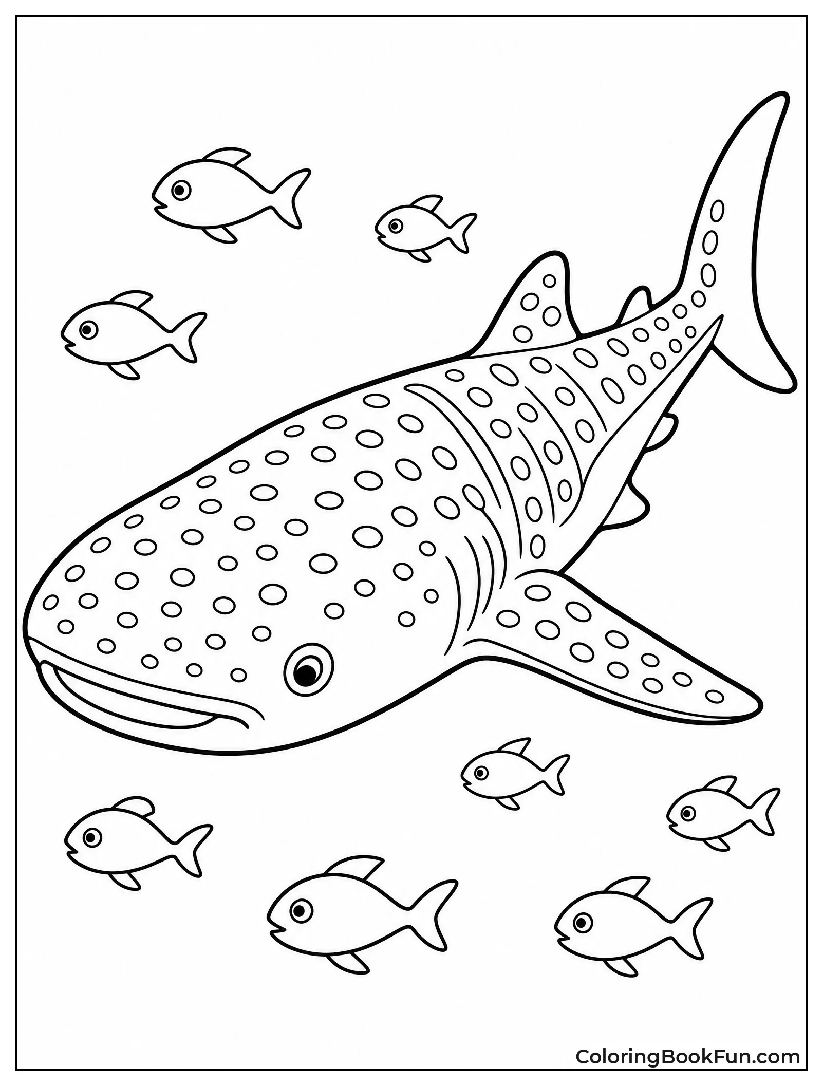 Whale Shark Silhouette With Fish