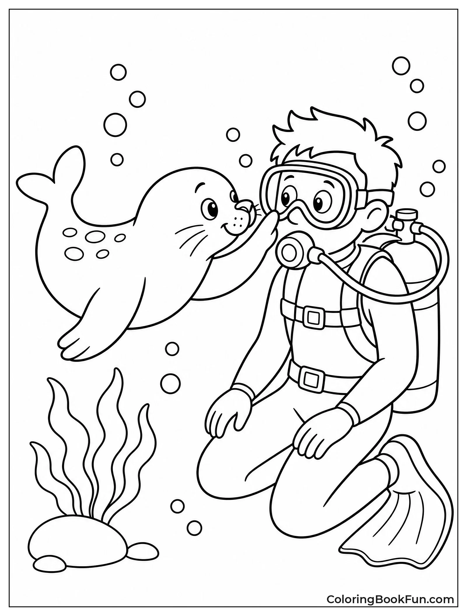Seal Checking Out Scuba Diver