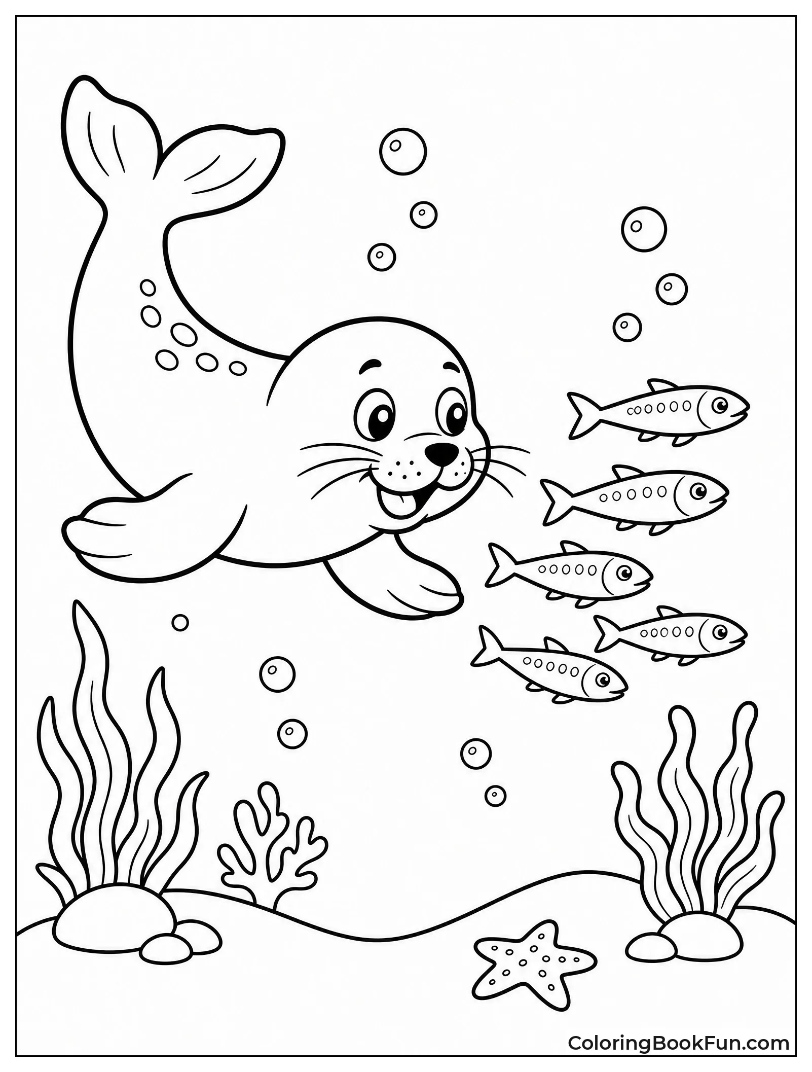 Seal Ready to Catch Some Fish