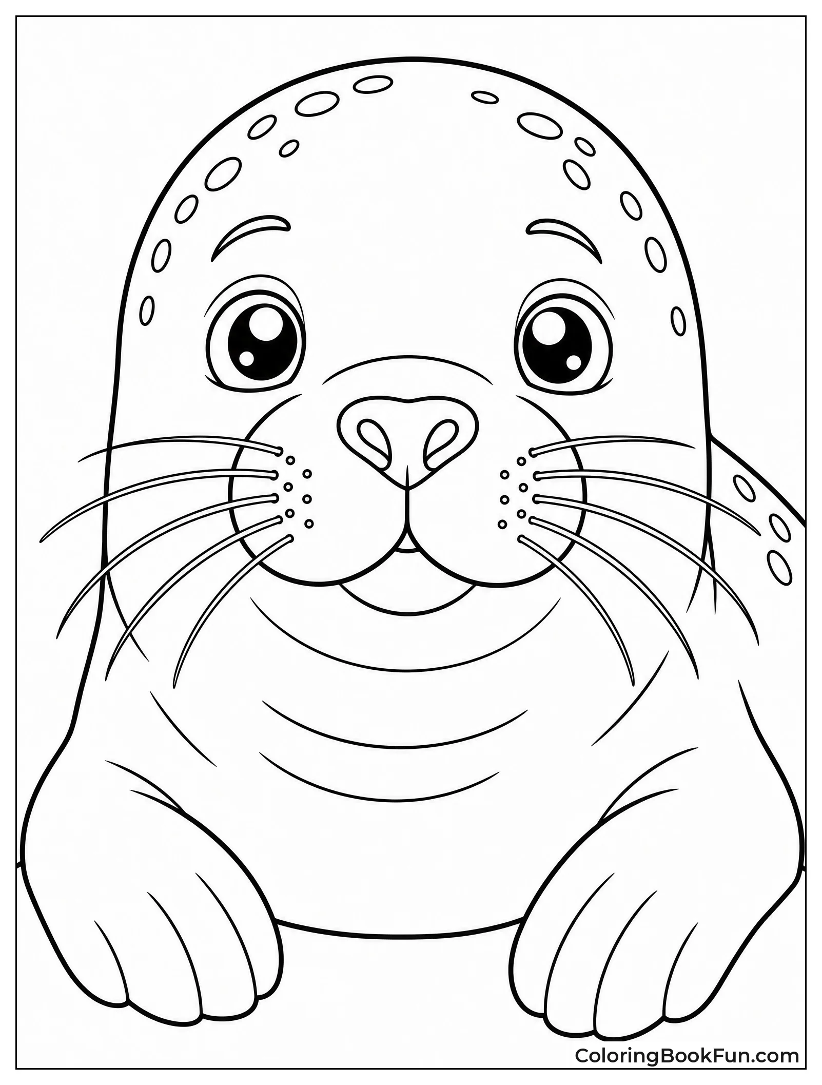Close Up of Seal Face