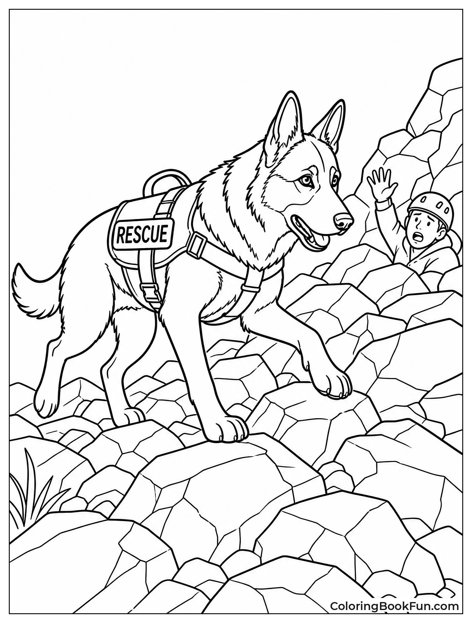 German Shepherd on Rescue Mission
