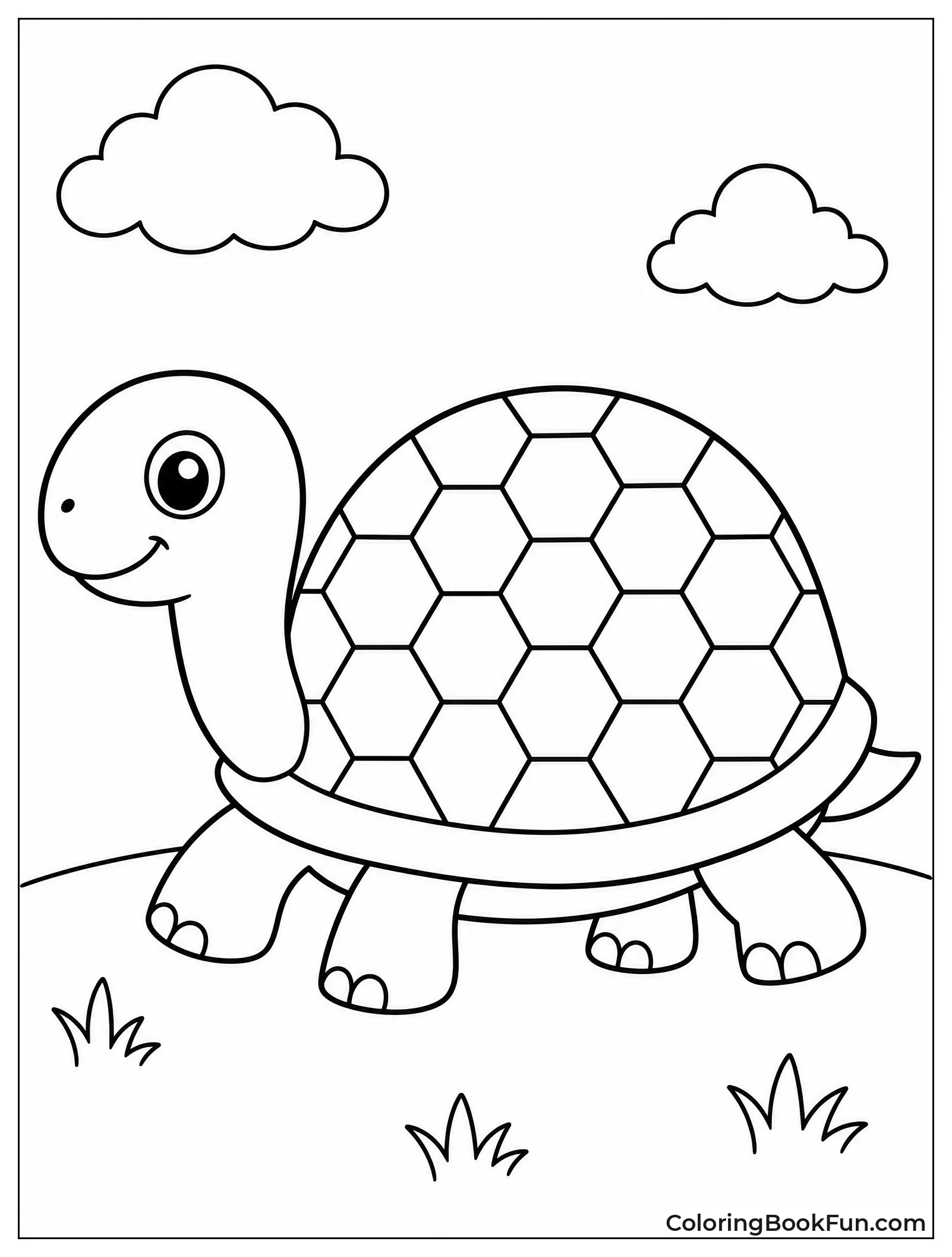 Turtle with Hexagon Shell Pattern