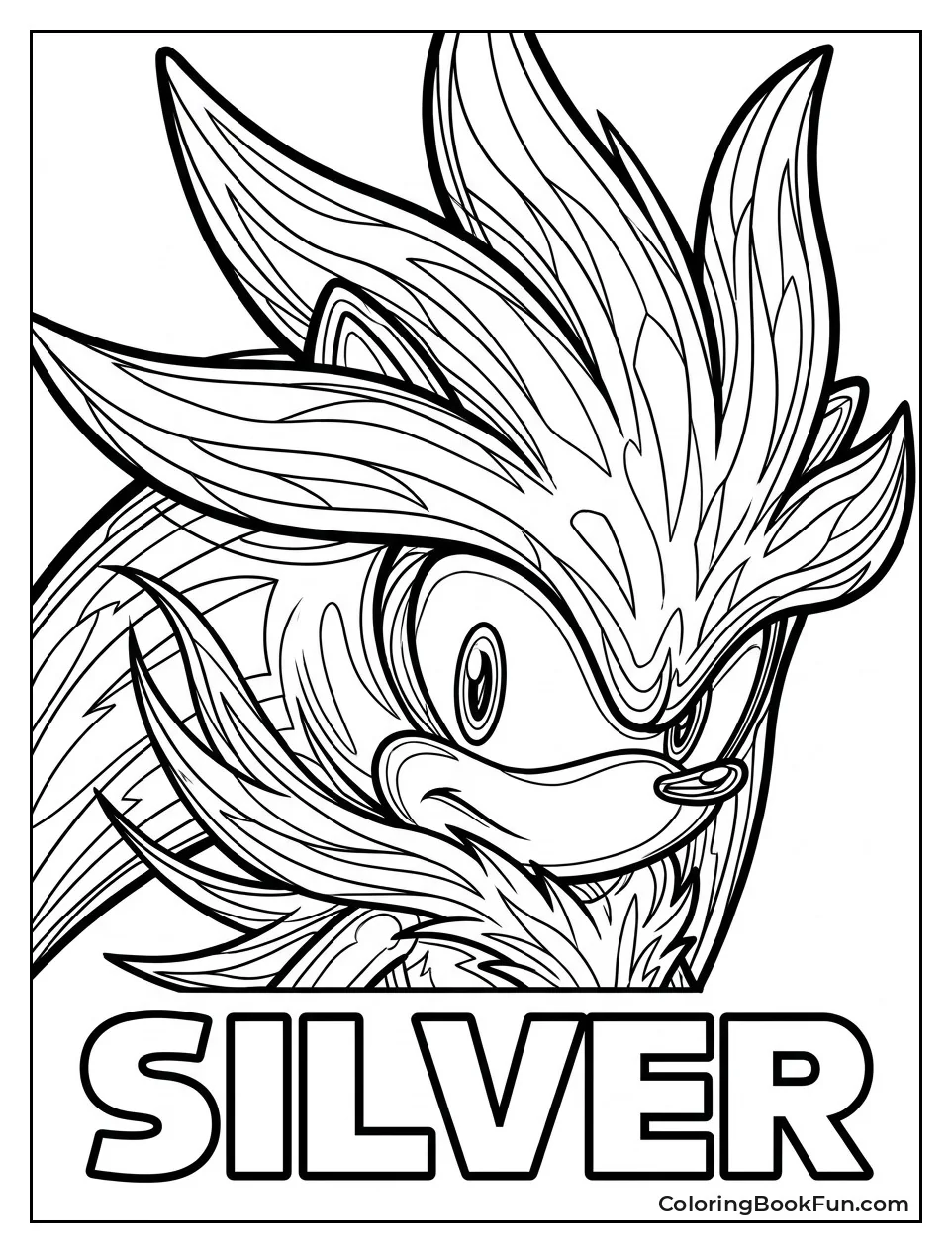 Close Up of Silver Face