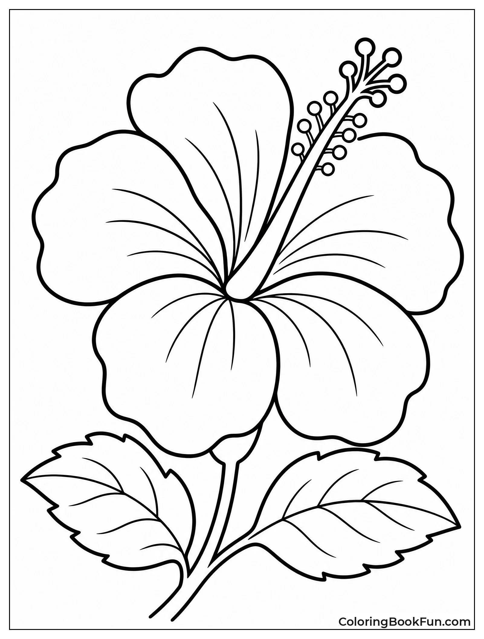 Simple Hibiscus Flower for Kids