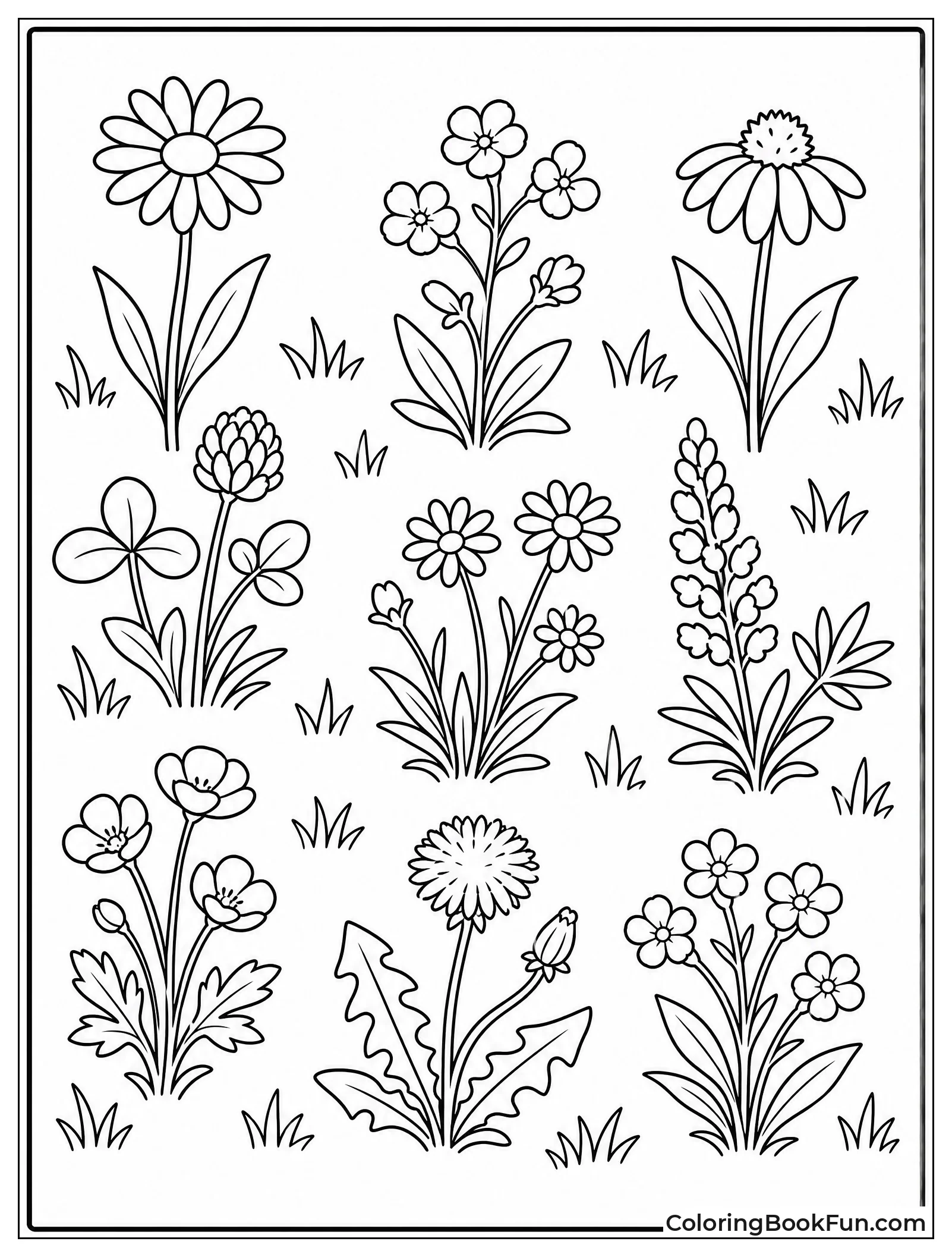 Simple Field of Wildflowers